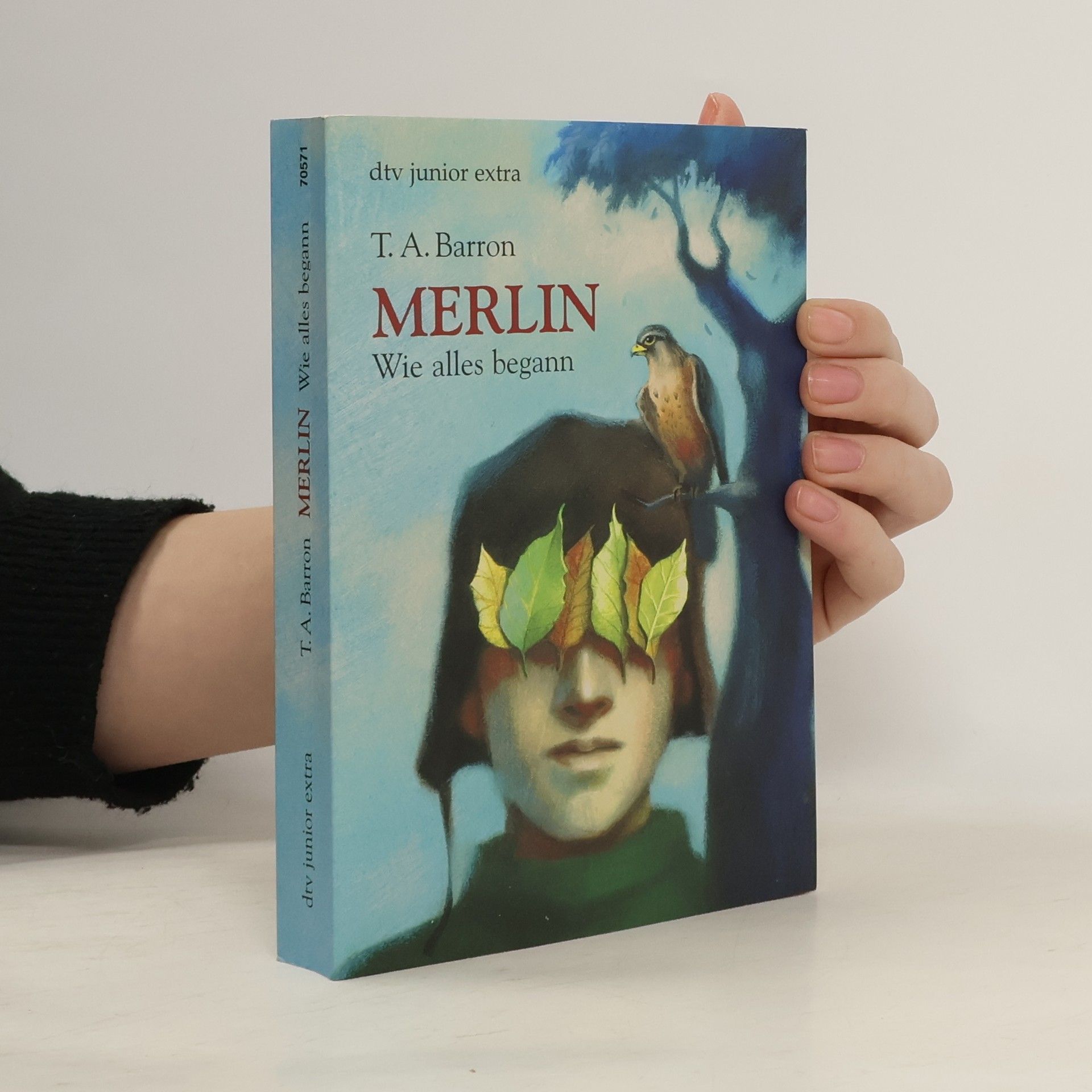 T. A. Barron Merlin. Wie alles begann