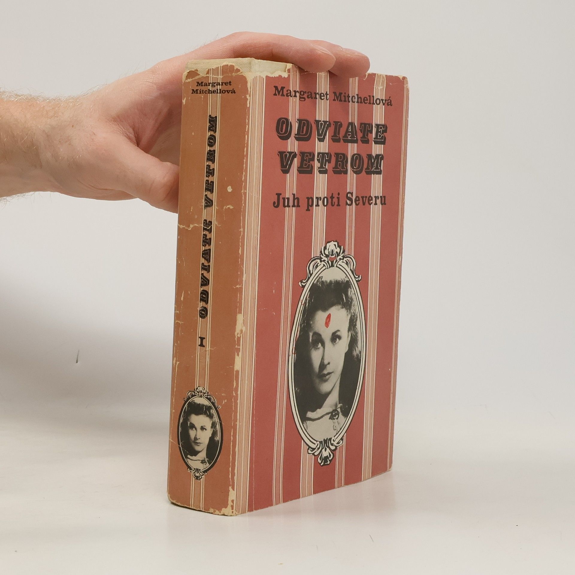 Margaret Mitchell Odviate vetrom. Juh proti Severu I.