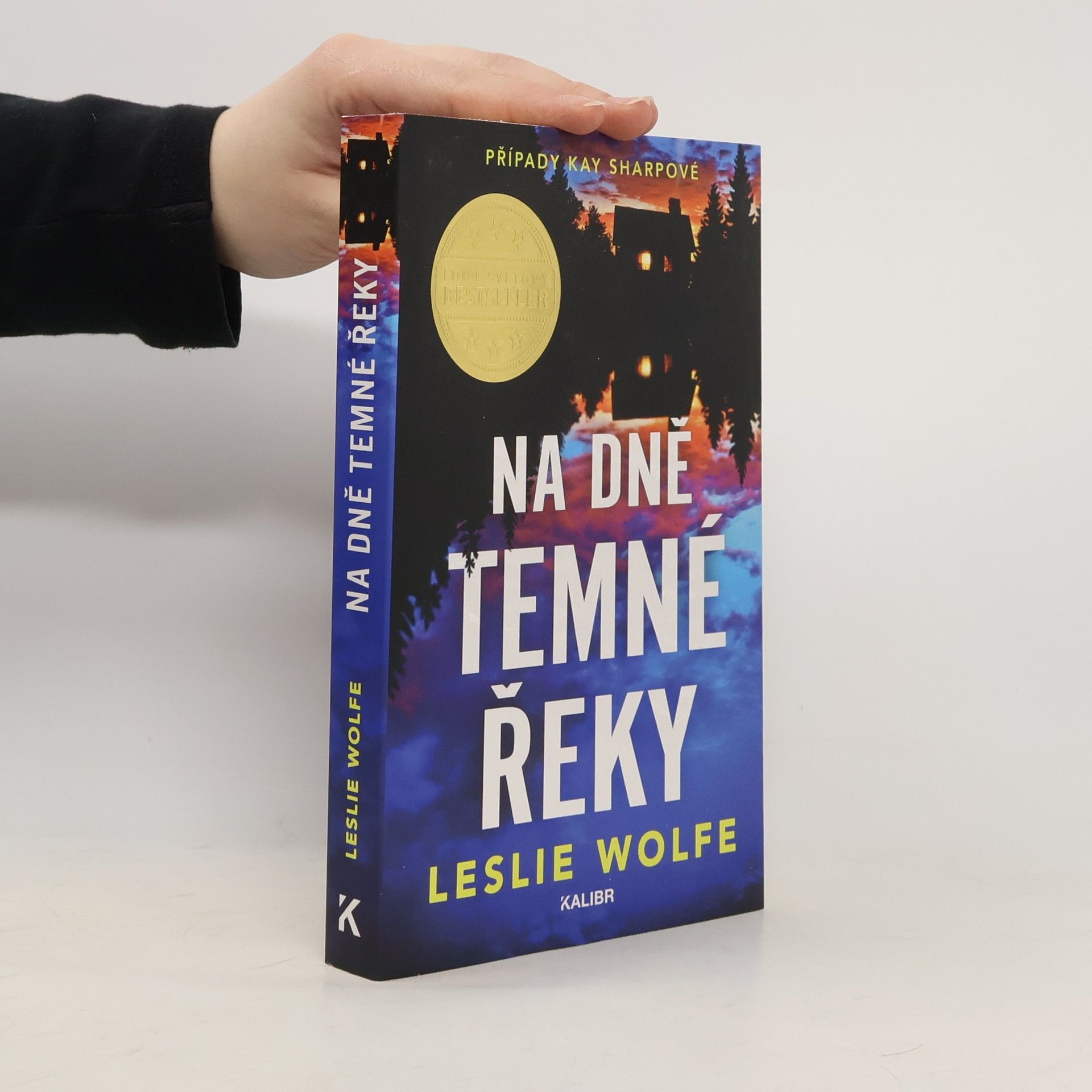 Leslie Wolfe Na dně Temné řeky