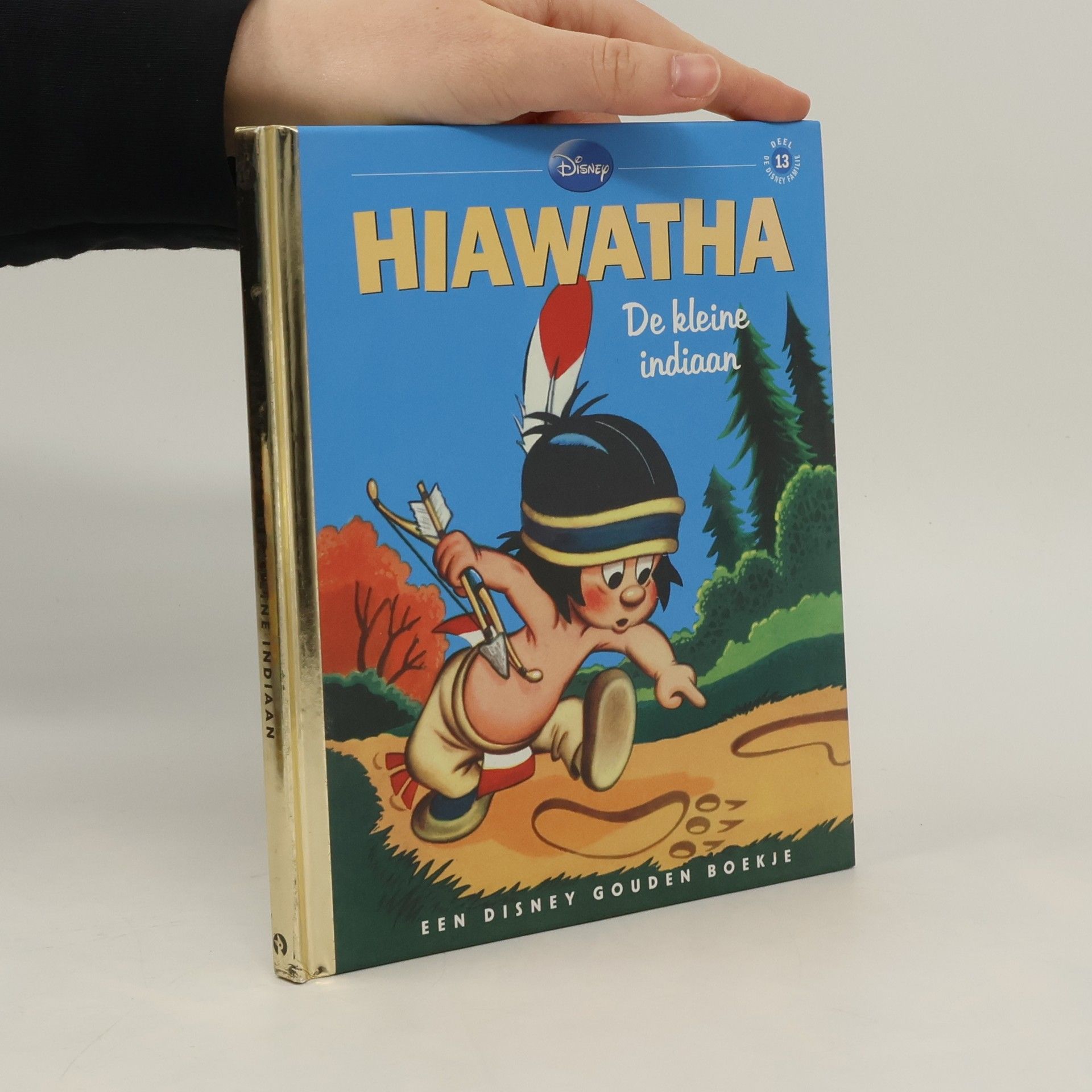 Walt Disney Hiawatha De Kleine Indiaan