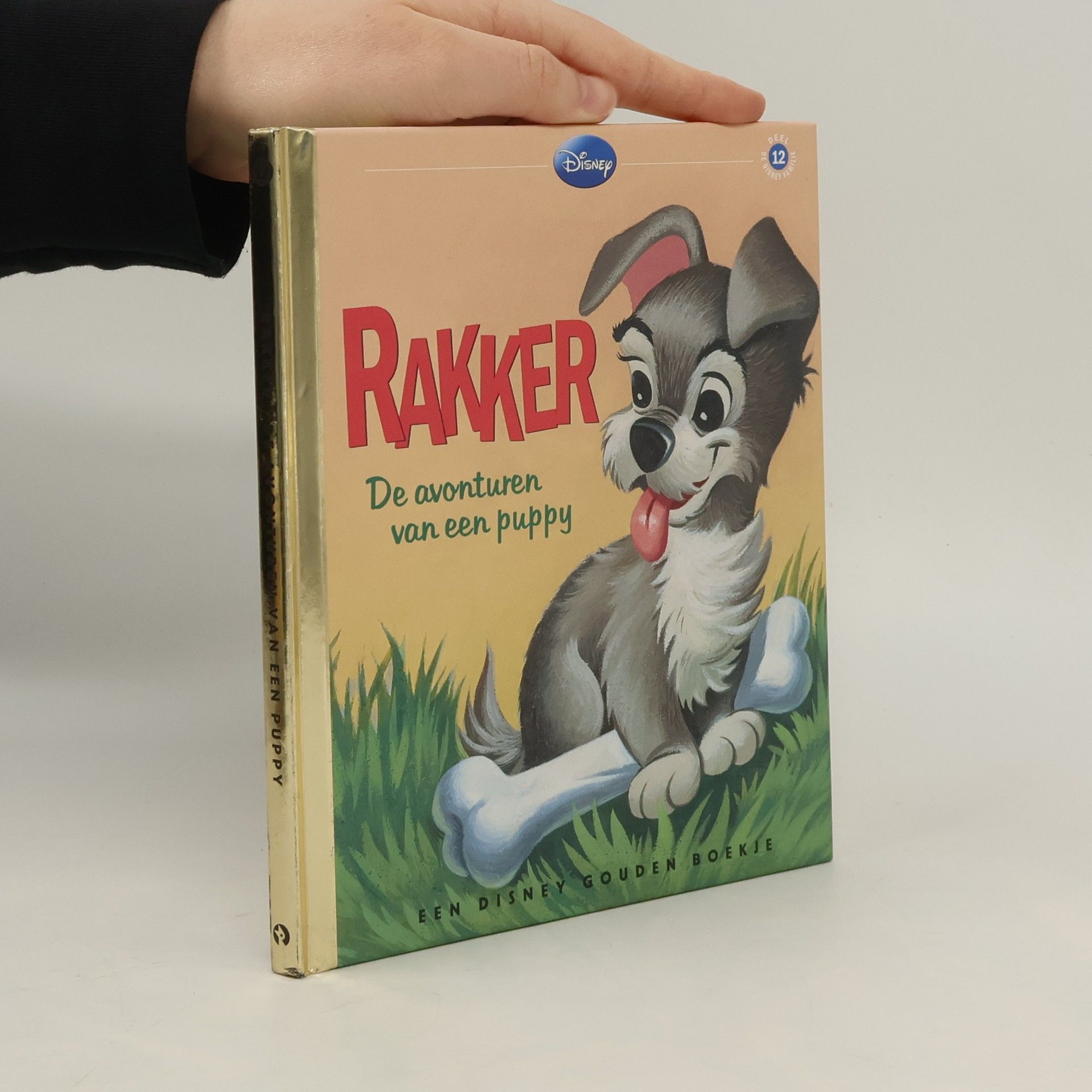 Walt Disney Rakker
