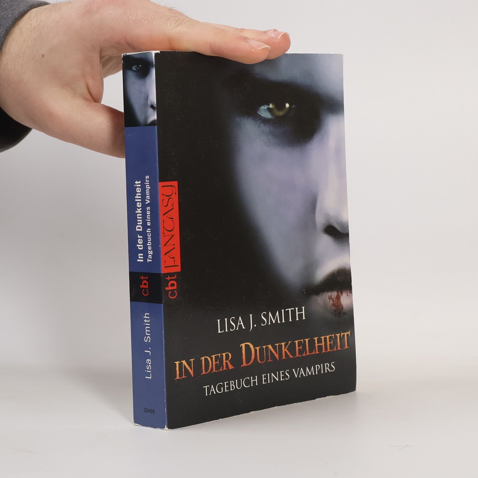 L. J. Smith In der Dunkelheit