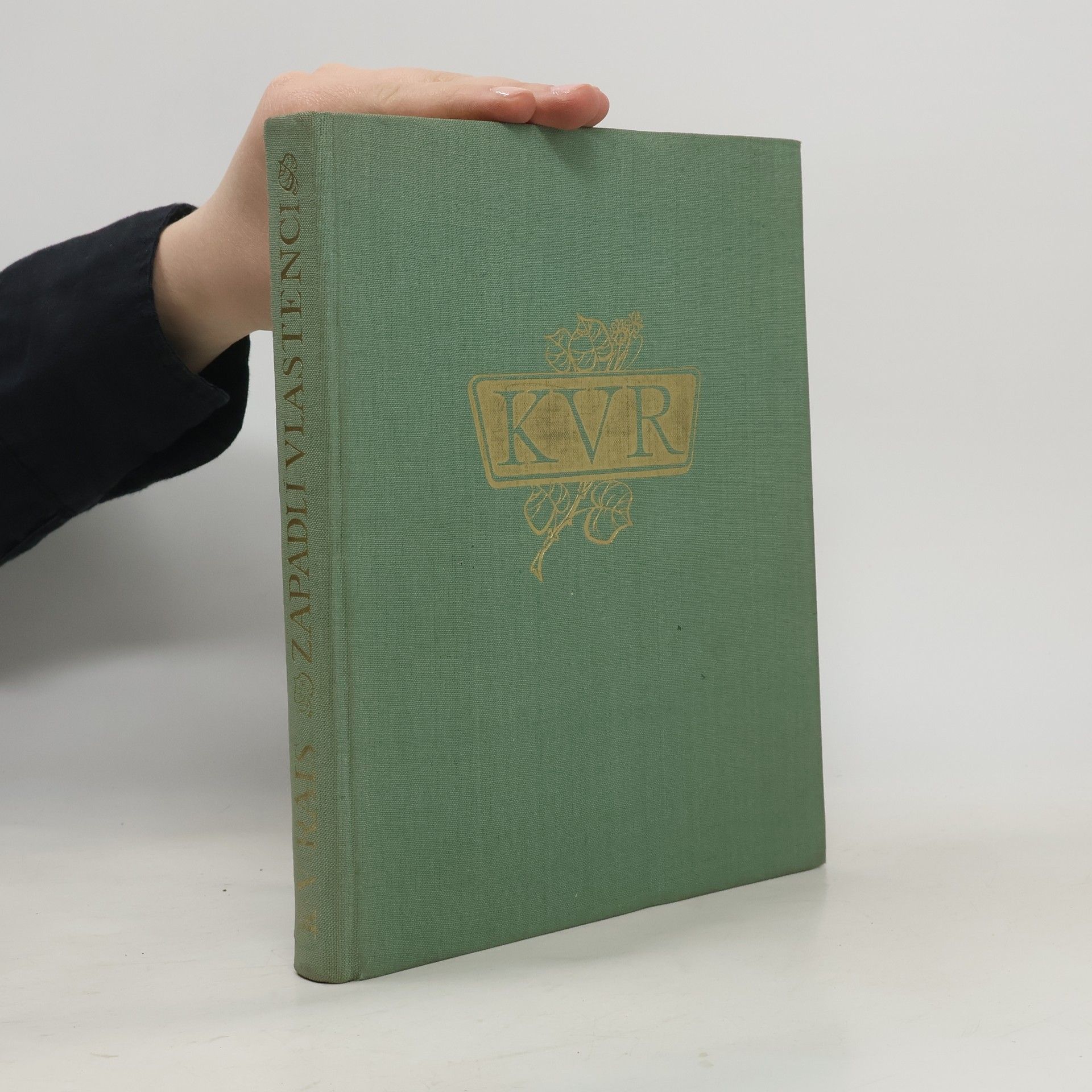 Karel Rais Zapadlí vlastenci