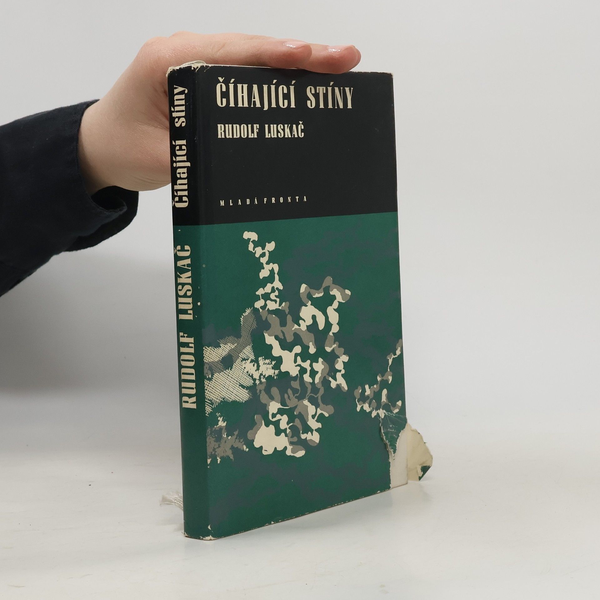 Rudolf Luskač Číhající stíny