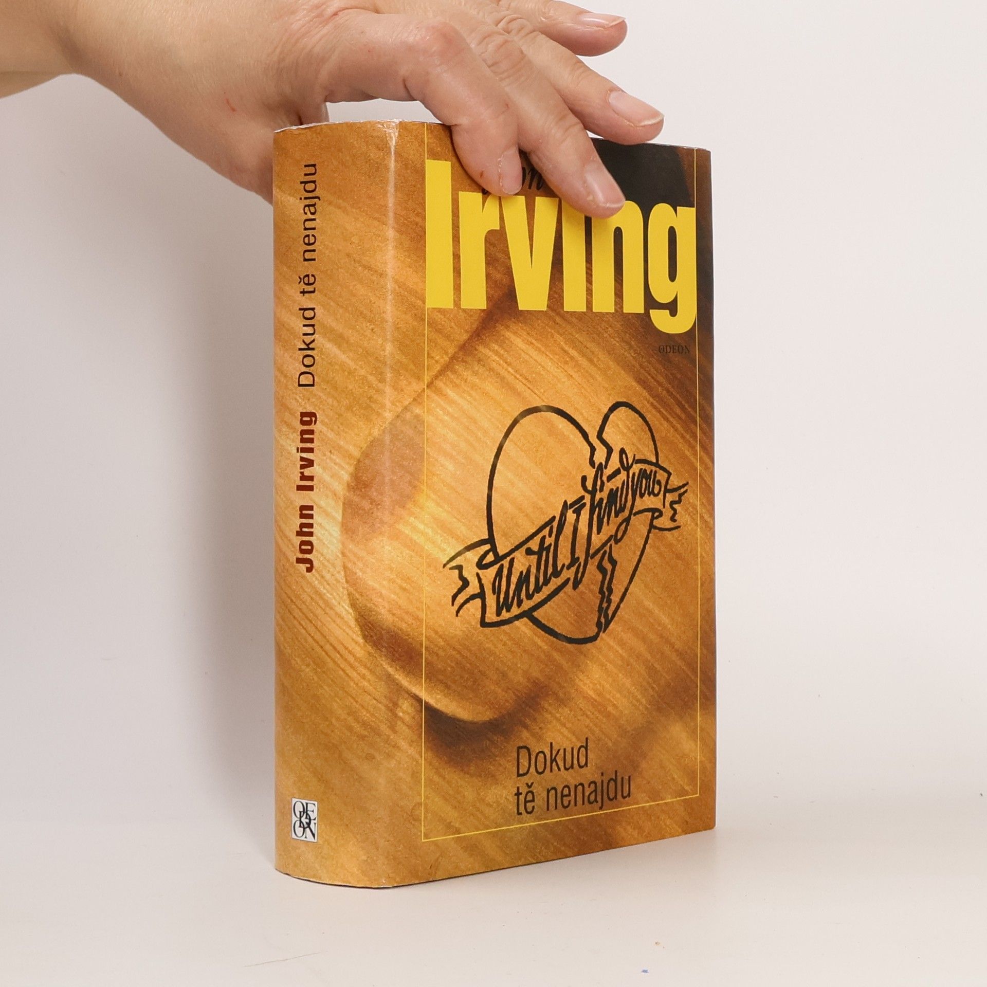 John Irving Dokud tě nenajdu