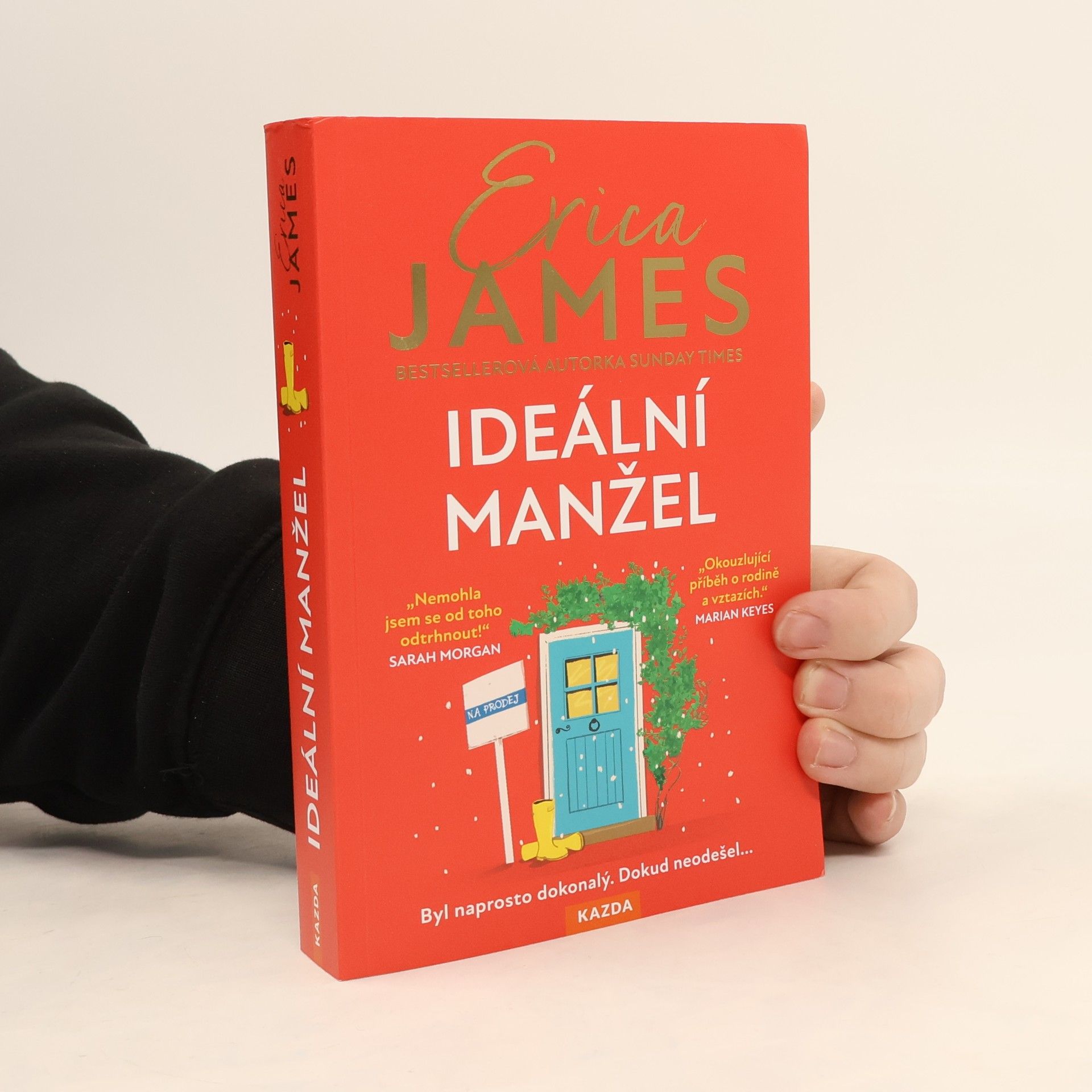 Erica James Ideální manžel