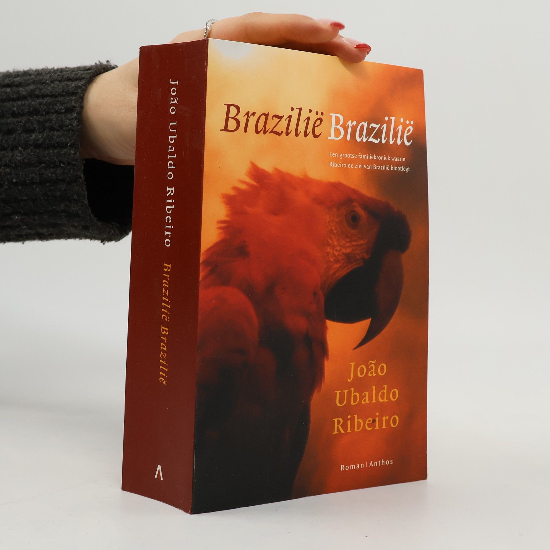 João Ubaldo Ribeiro Brazilië Brazilië