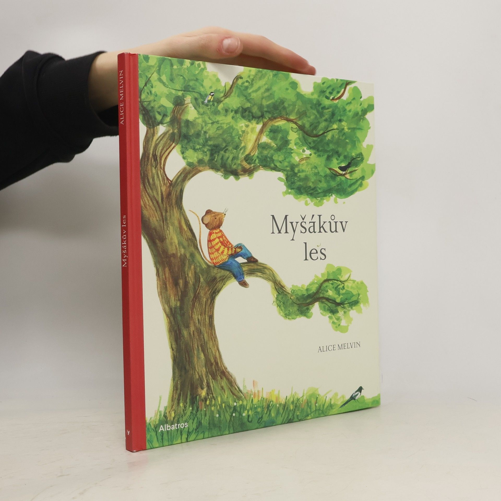 Alice Melvin Myšákův les
