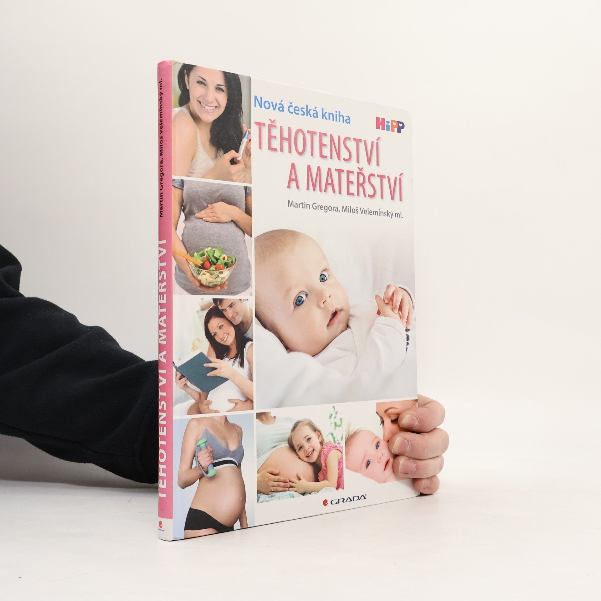 Martin Gregor-Dellin Těhotenství a mateřství