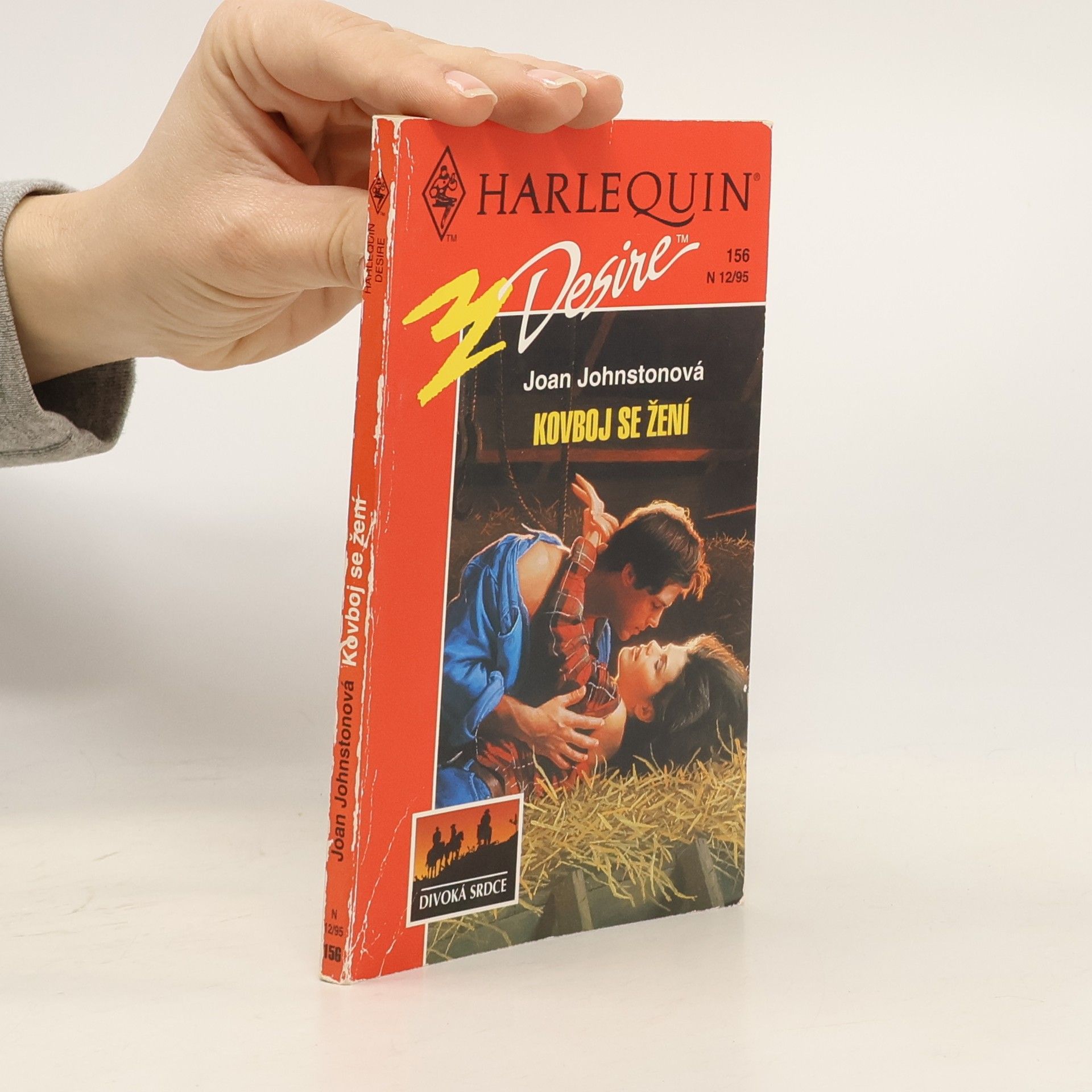 Joan Johnston Kovboj se žení