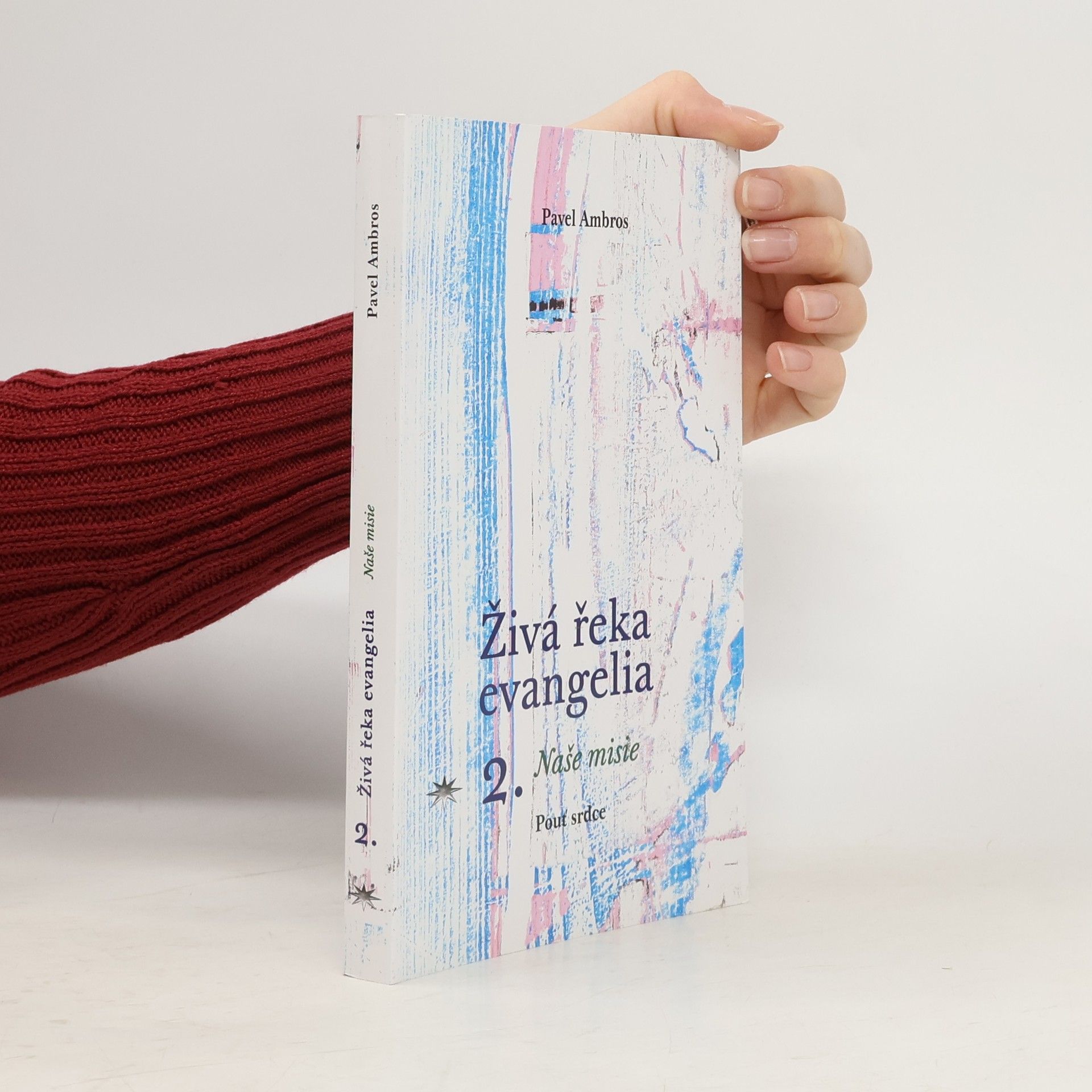 Pavel Ambros Živá řeka evangelia 2 - Naše misie