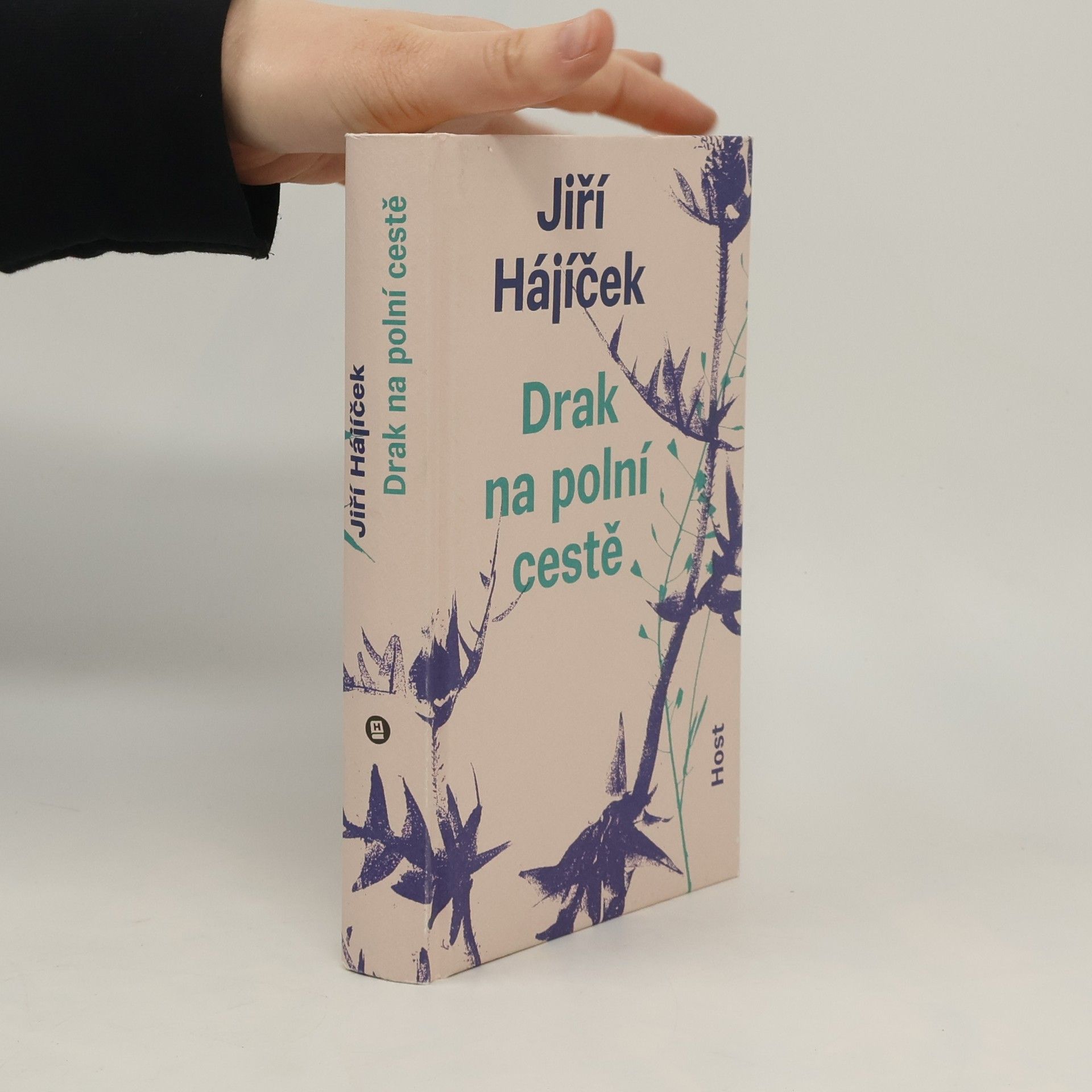 Drak na polní cestě