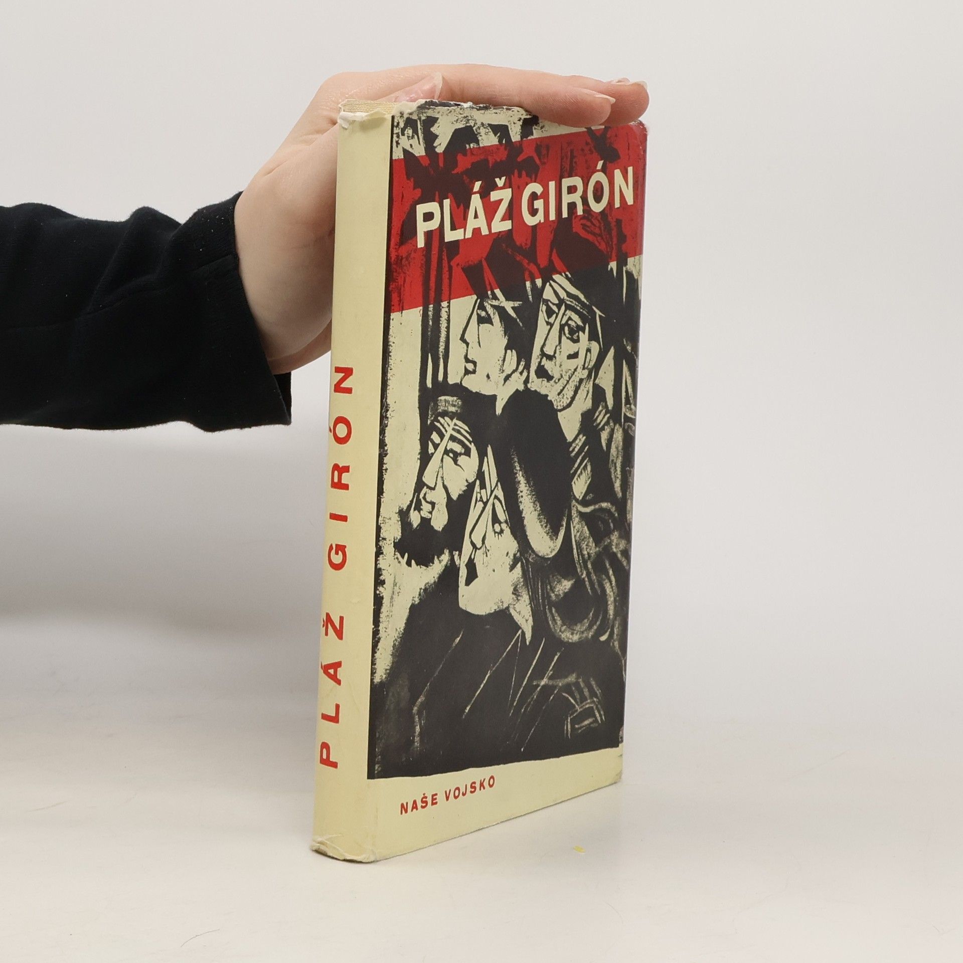 Kolektiv autorů Pláž Girón