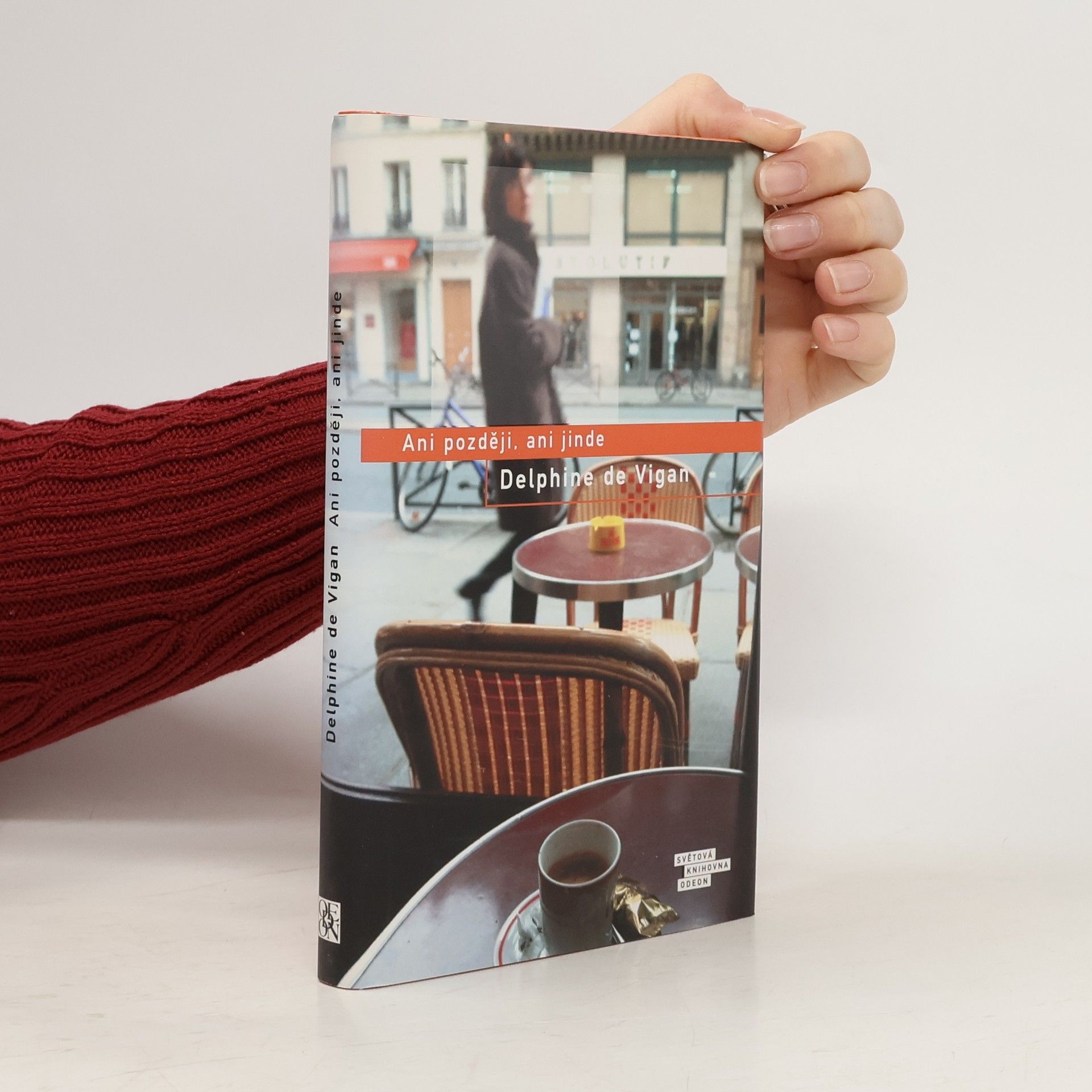 Delphine de Vigan Ani později, ani jinde