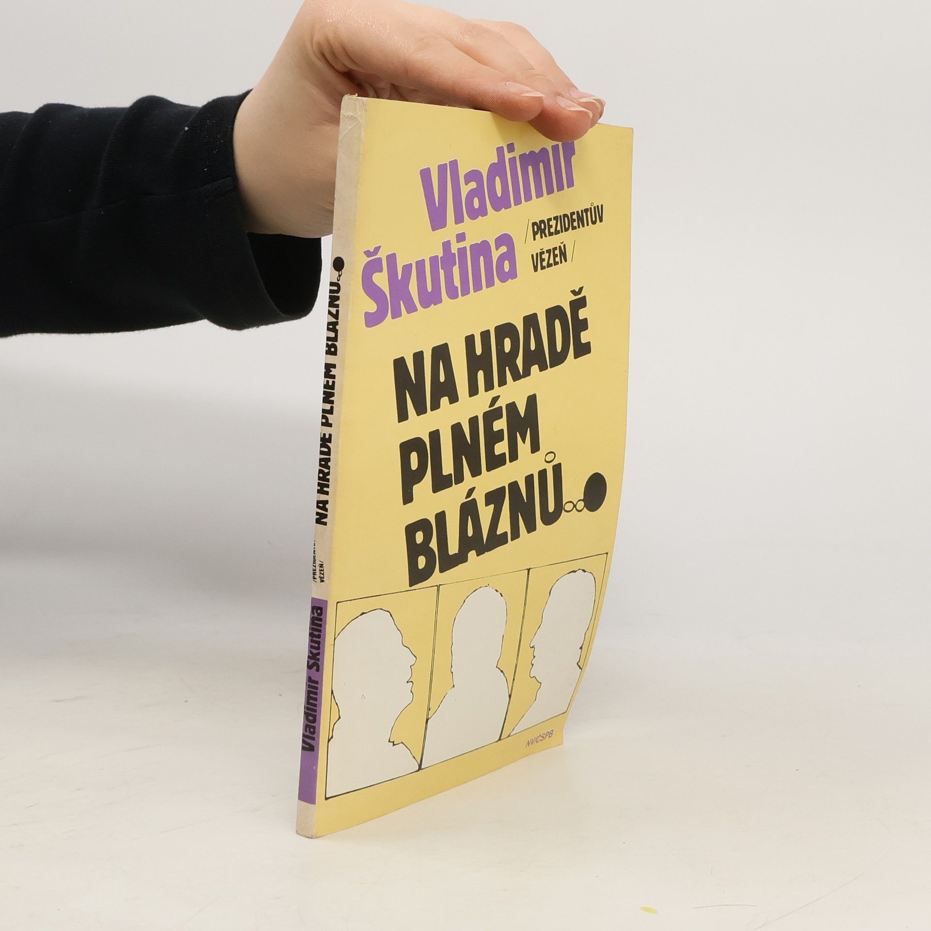 Vladimír Škutina Na hradě plném bláznů