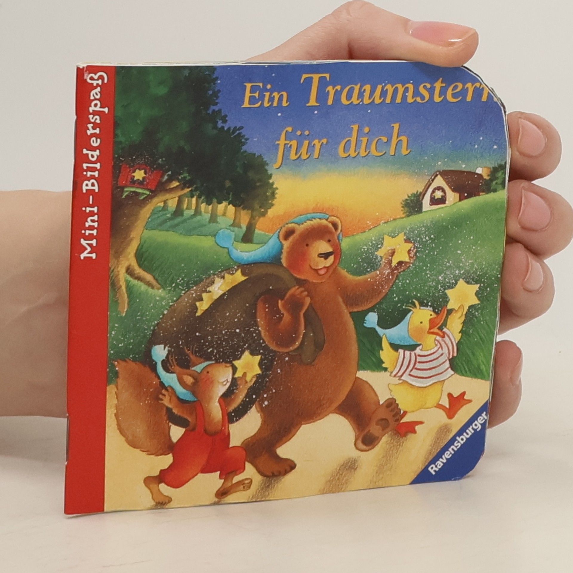Nele Moost Ein Traumstern für dich