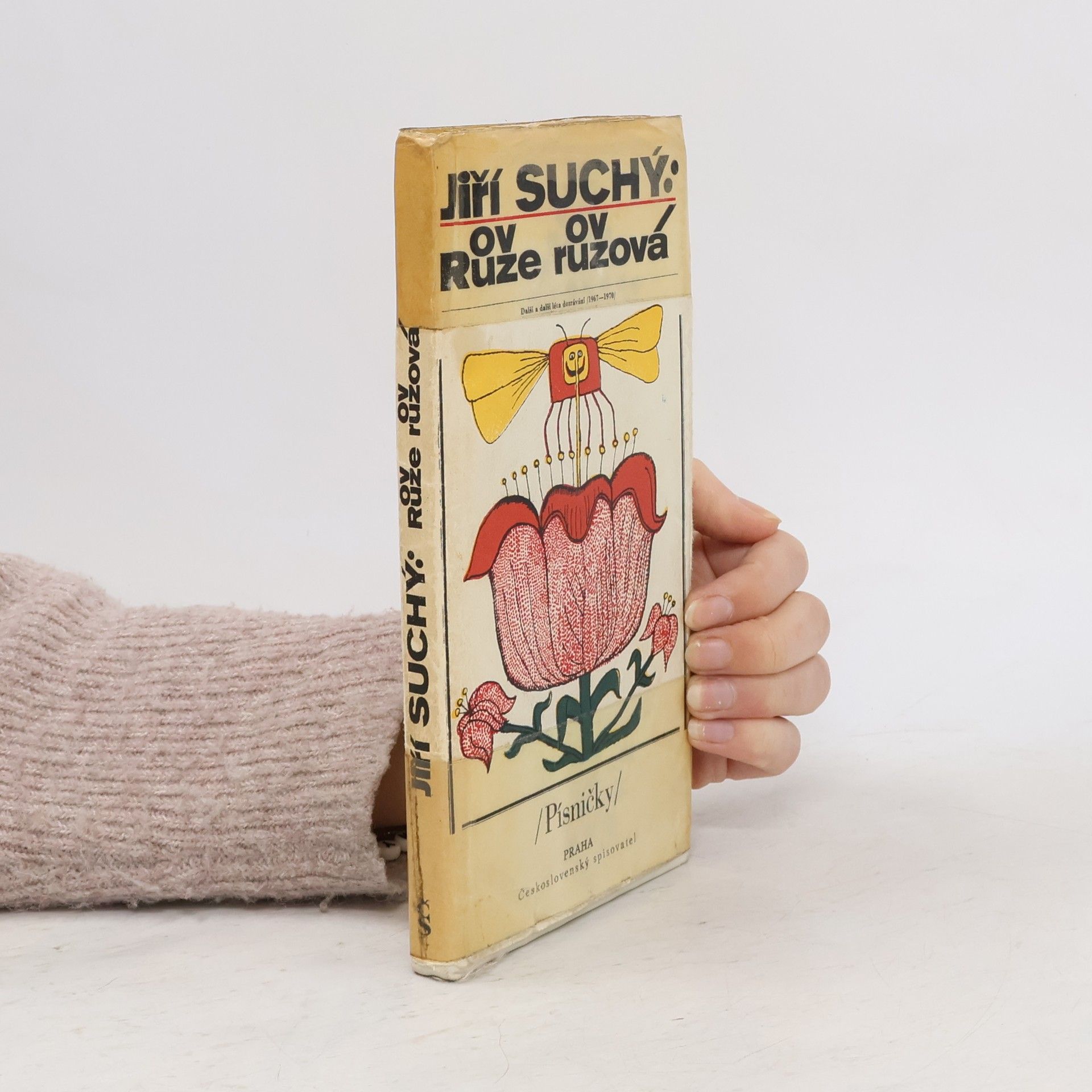 Jiří Suchý Růže růžová