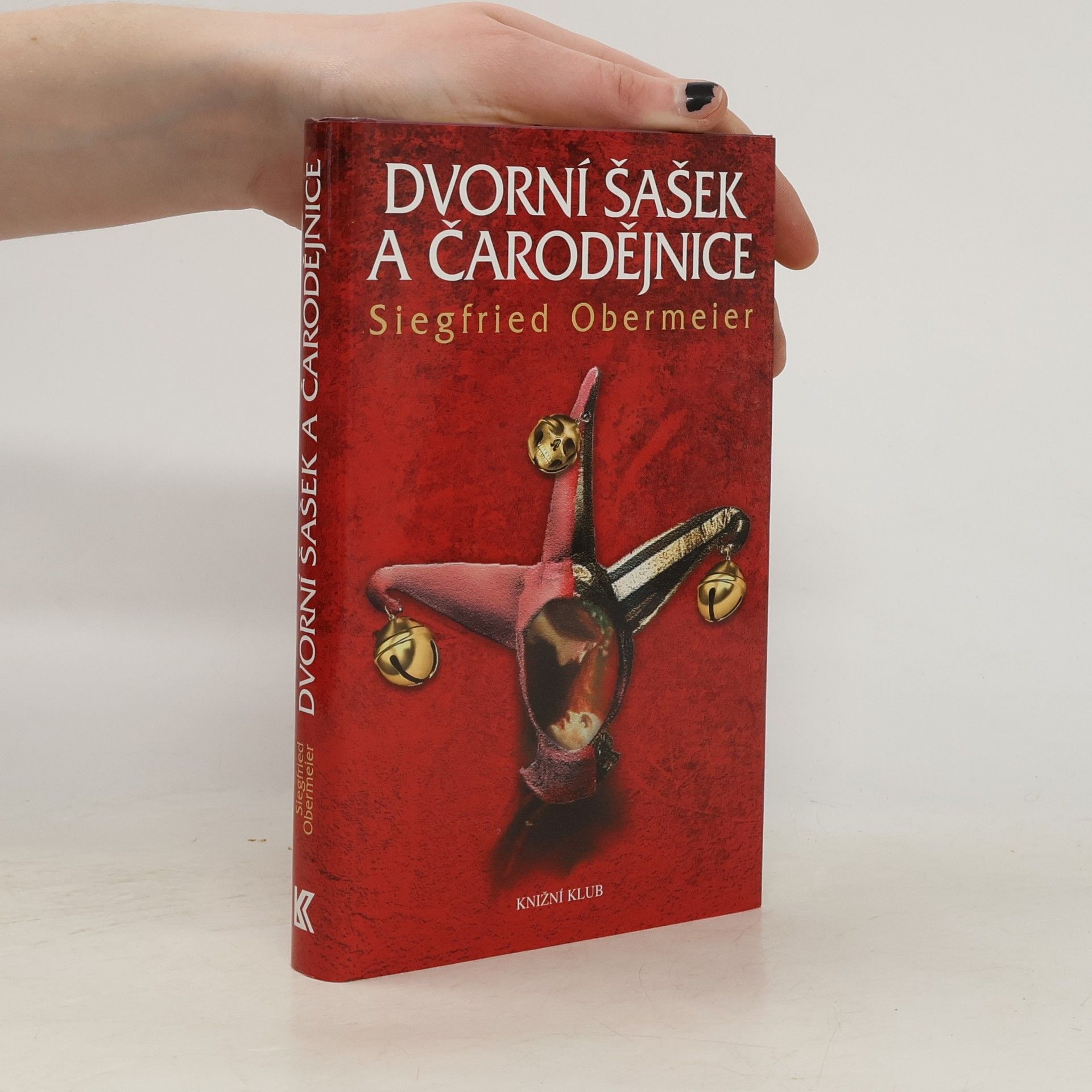 Siegfried Obermeier Dvorní šašek a čarodějnice