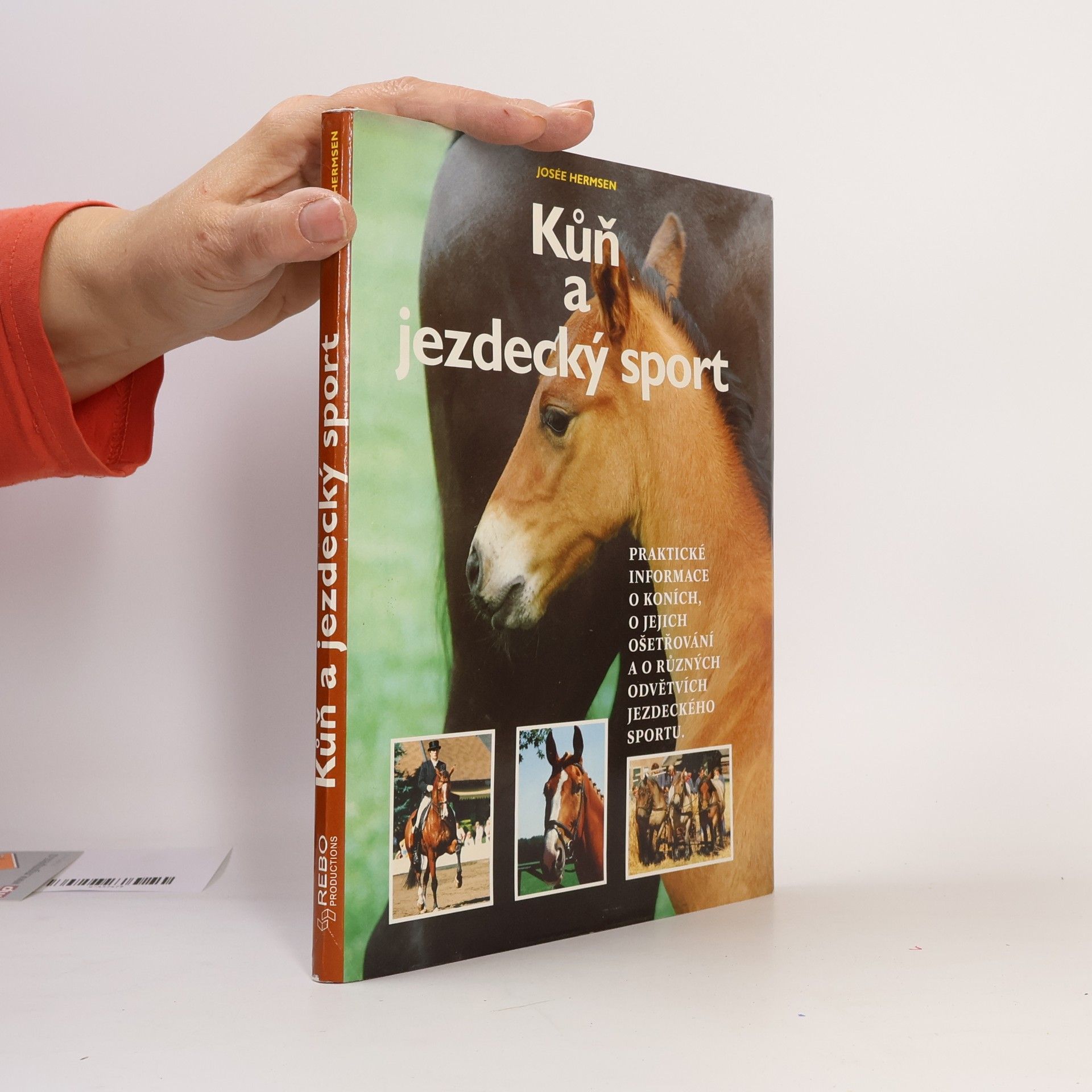 Josée Hermsen Kůň a jezdecký sport