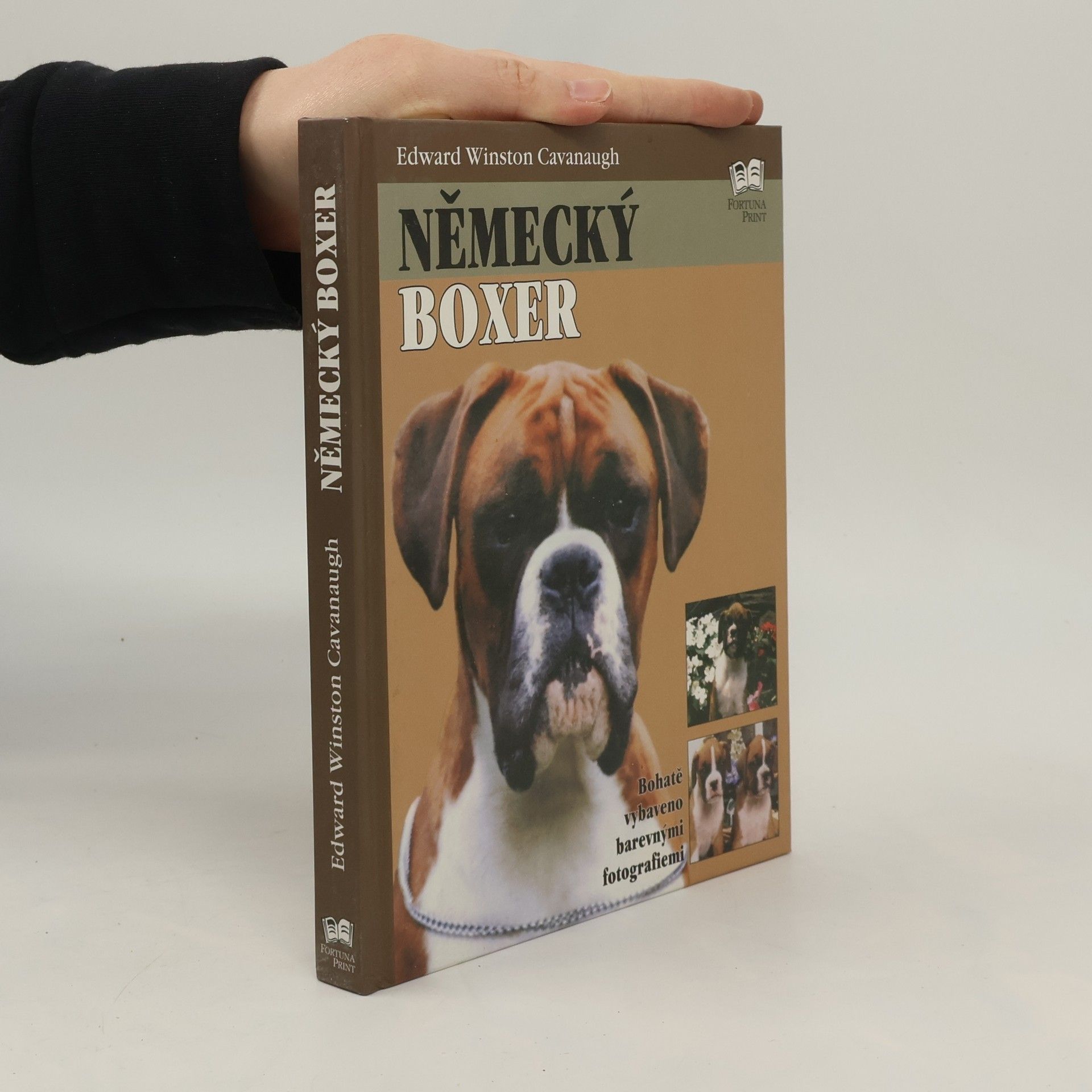 Edward Winston Cavanaugh Německý boxer