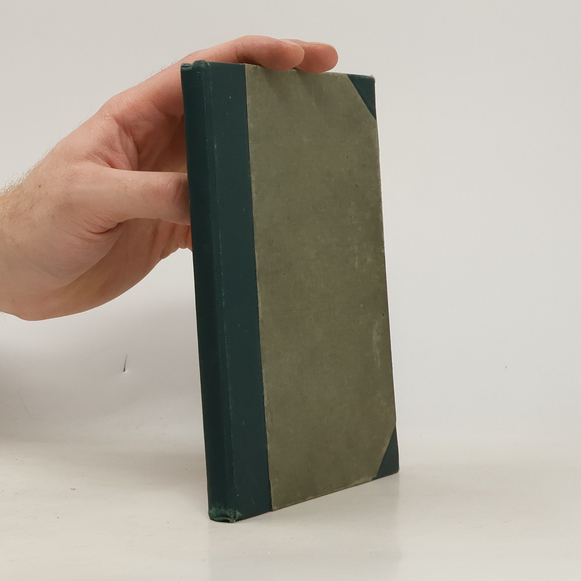 Milena Jesenská Mileniny recepty