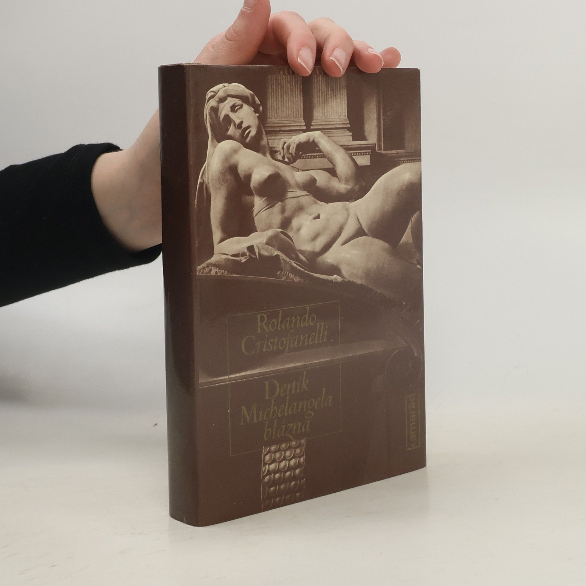 Deník Michelangela blázna