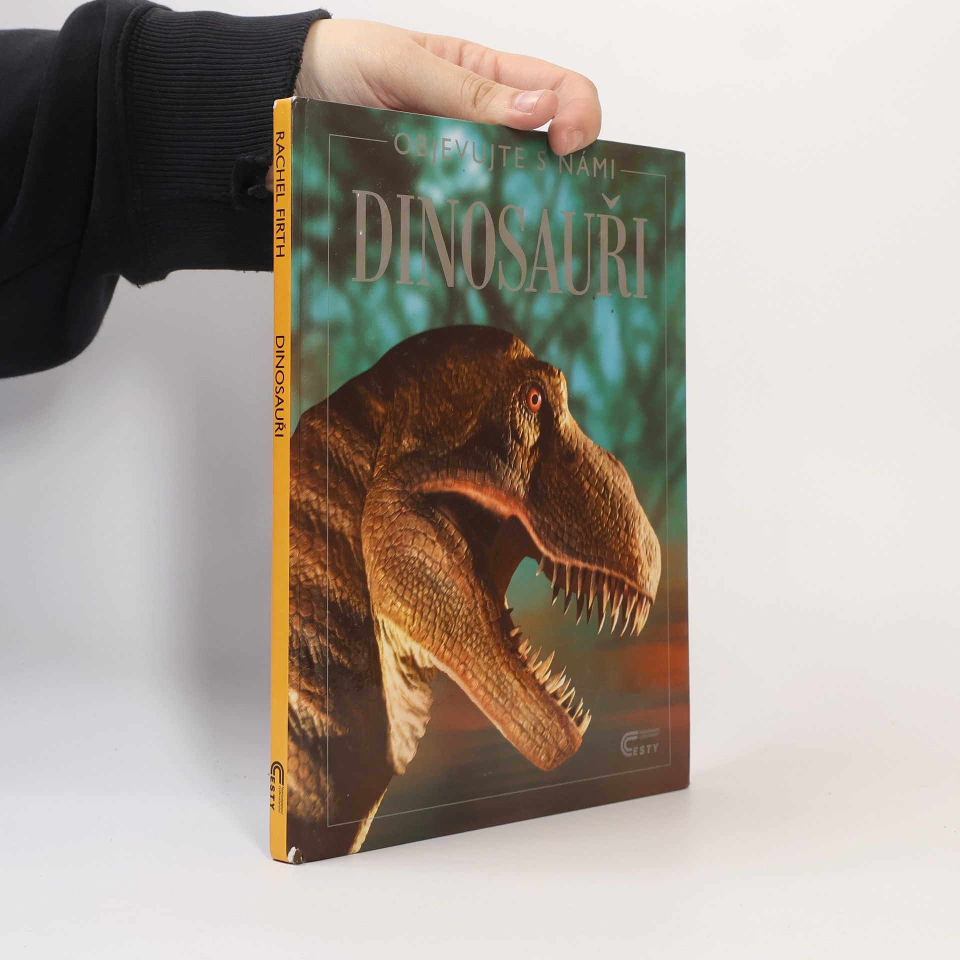 Rachel Firth Dinosauři