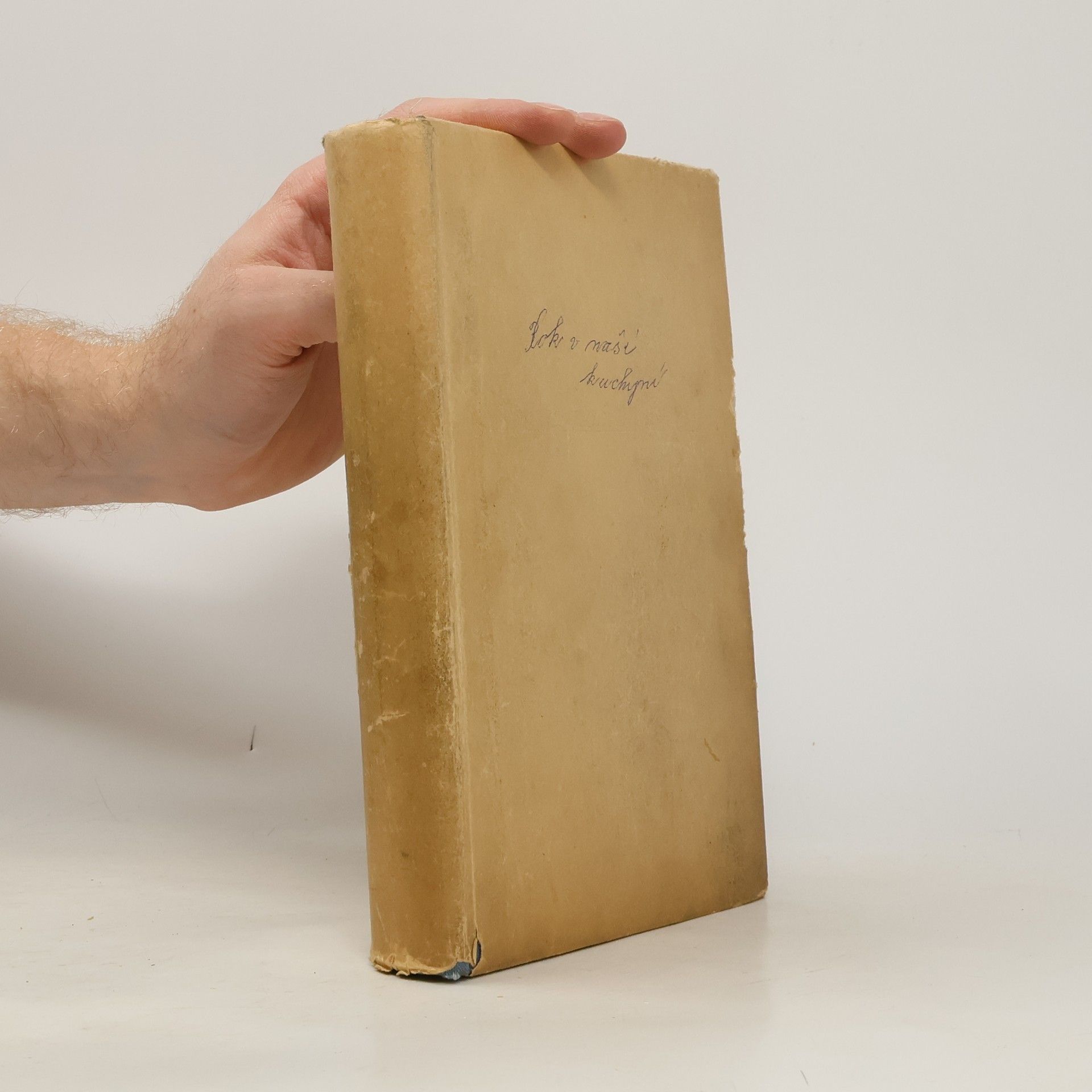 Marie Úlehlová Tilschová Rok v naší kuchyni