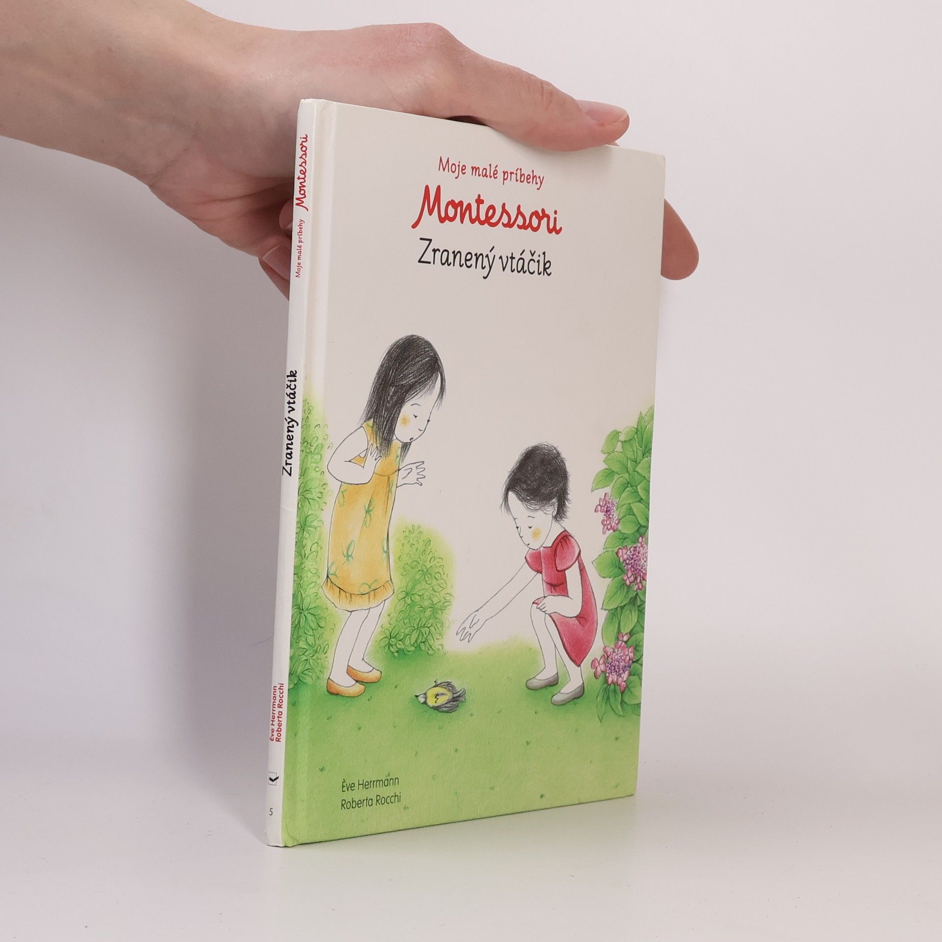 Montessori: Zranený vtáčik