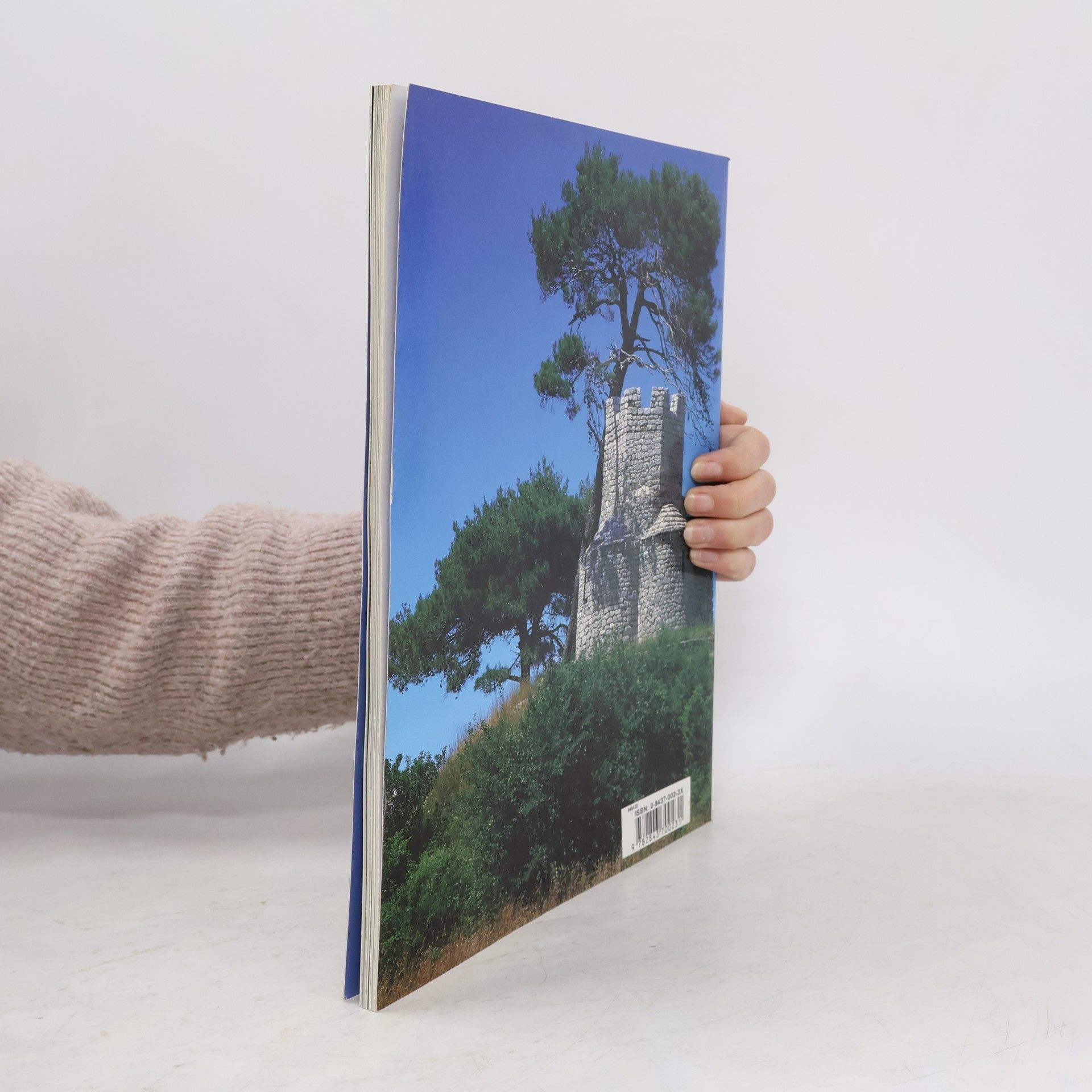 Les arts en Croatie