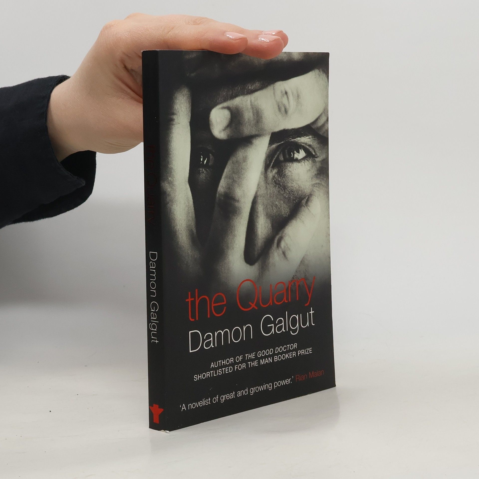 Damon Galgut The Quarry