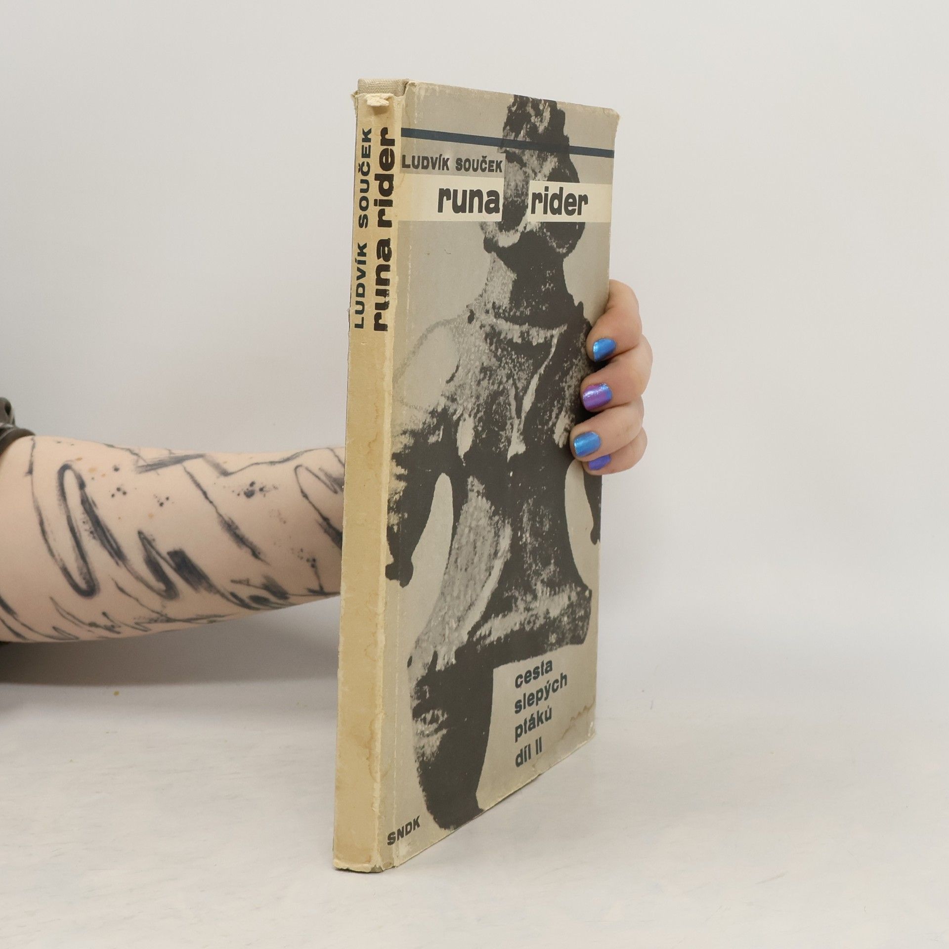 Ludvík Souček Runa rider. Cesta slepých ptáků 2