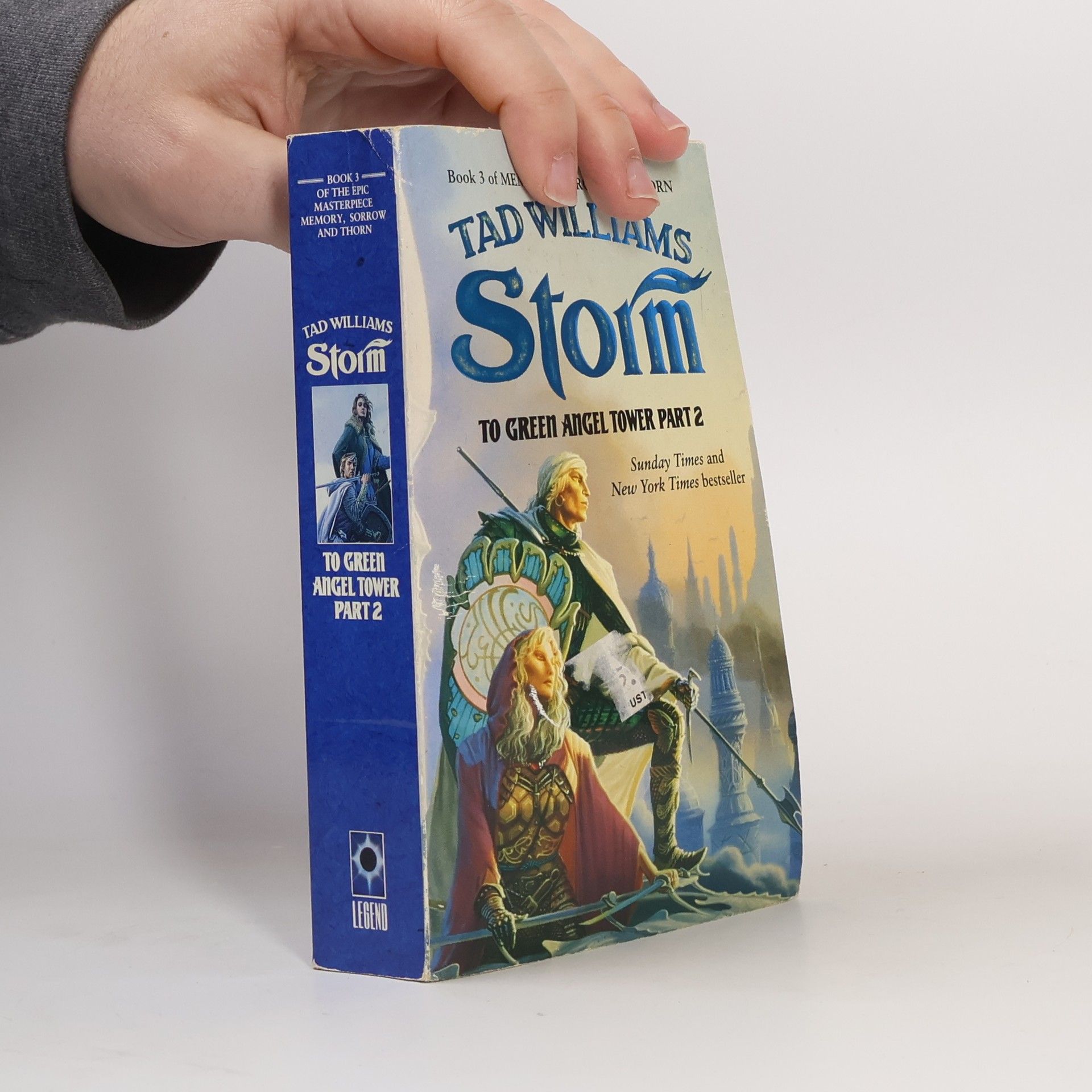 Tad Williams Memory, Sorrow and Thorn - 3: Storm