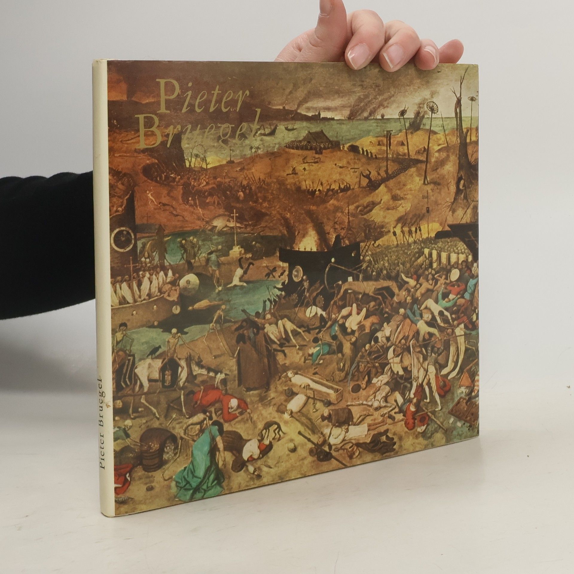 Jaromír Neumann Pieter Bruegel