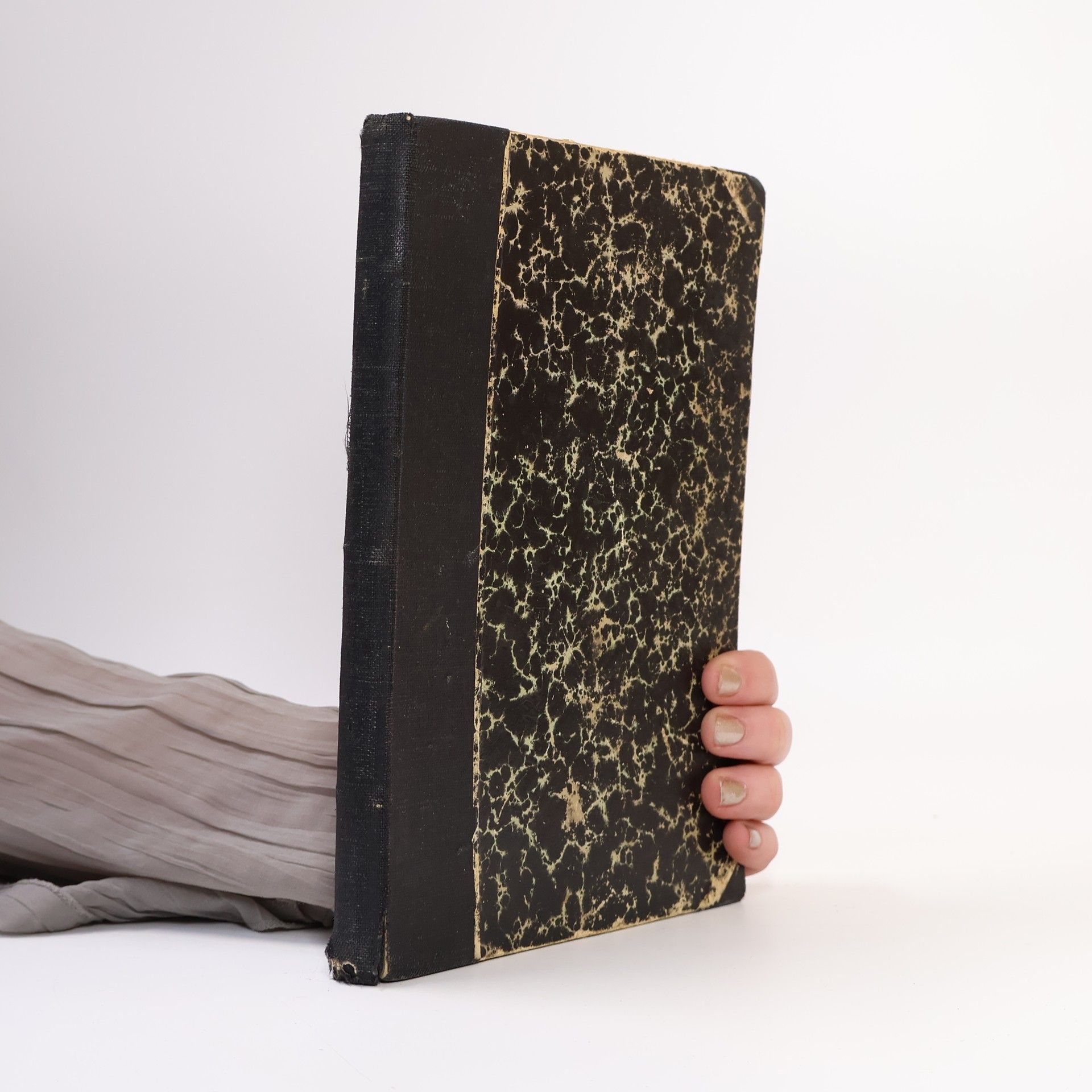 Karel Čapek Hovory S T.G. Masarykem