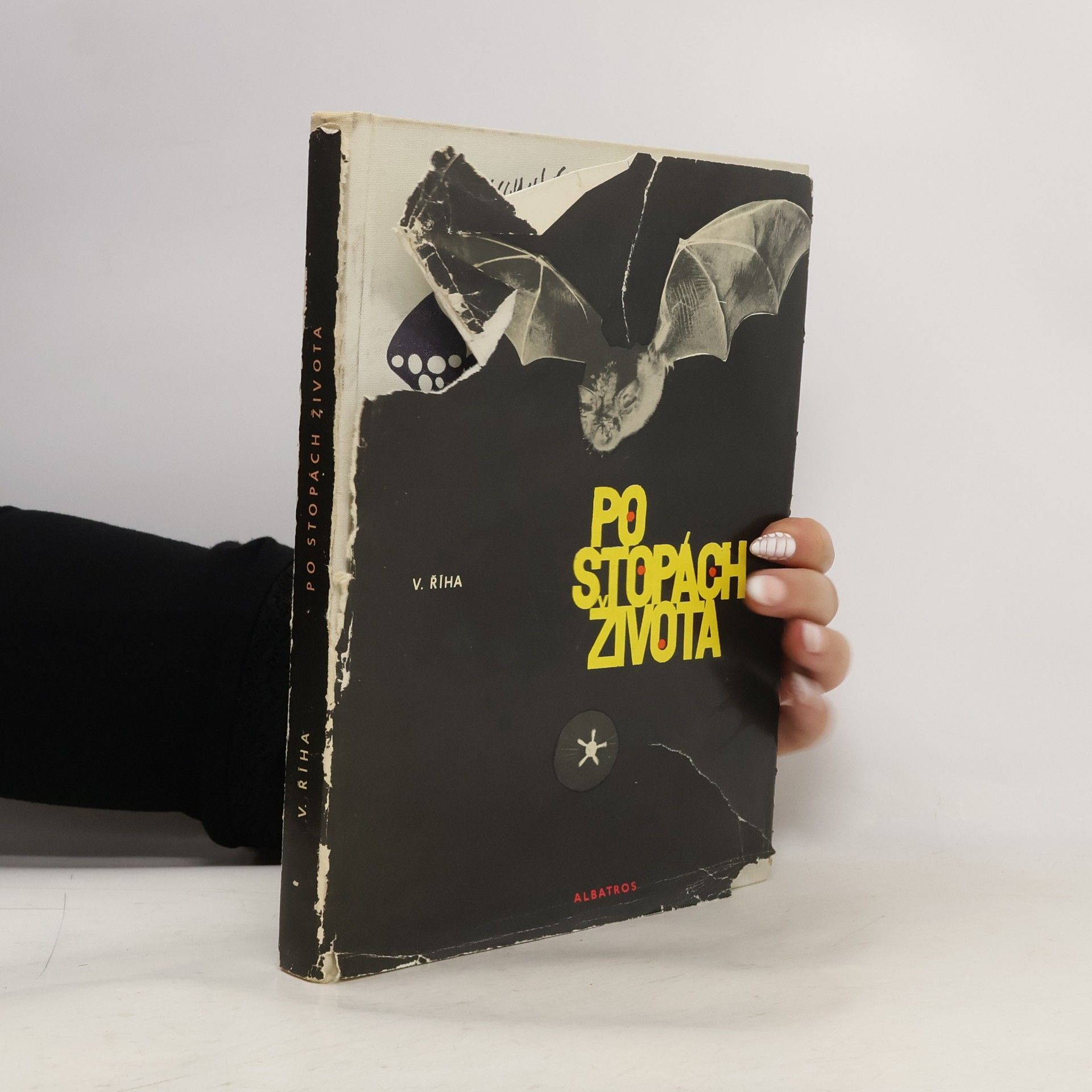 Vítězslav Říha Pe stopách života