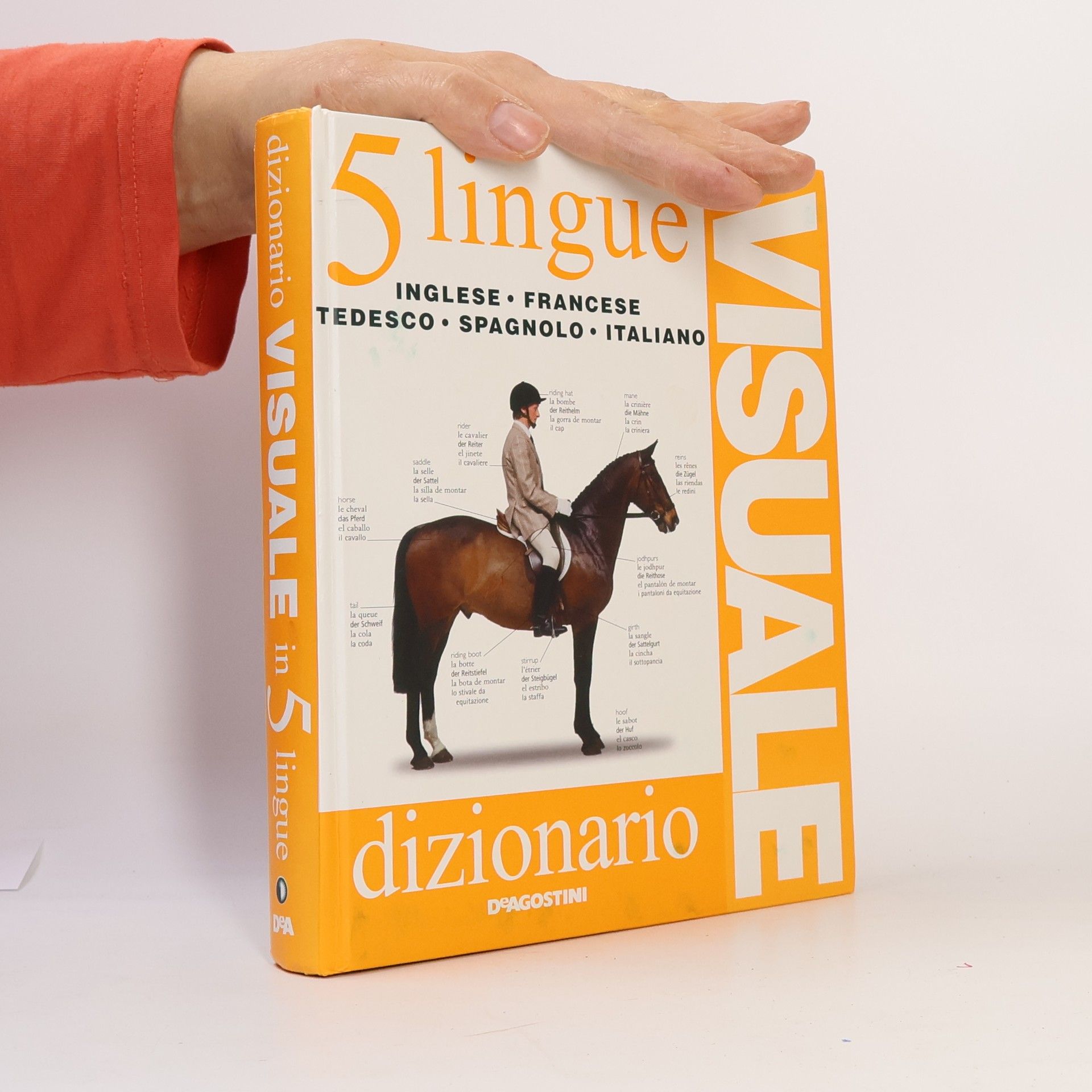 Auteurscollectief Dizionario visuale in 5 lingue. Inglese, francese, tedesco, spagnolo, italiano