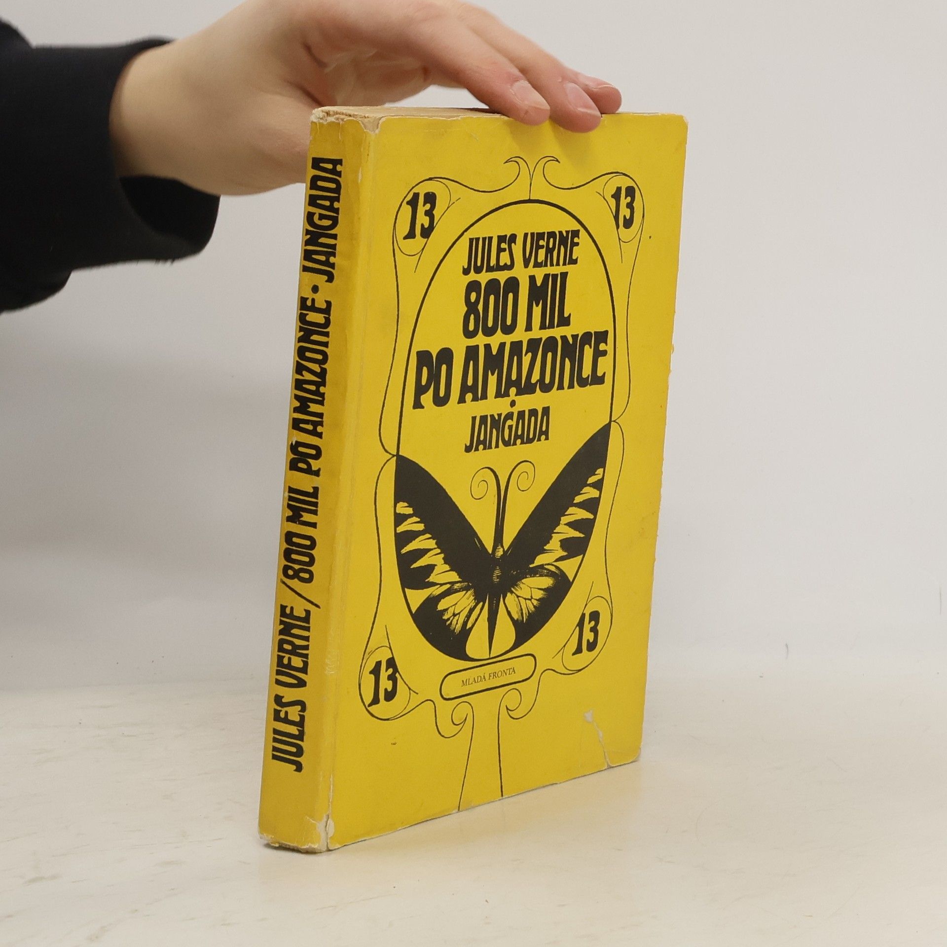 Jules Verne 800 mil po Amazonce. Jangada