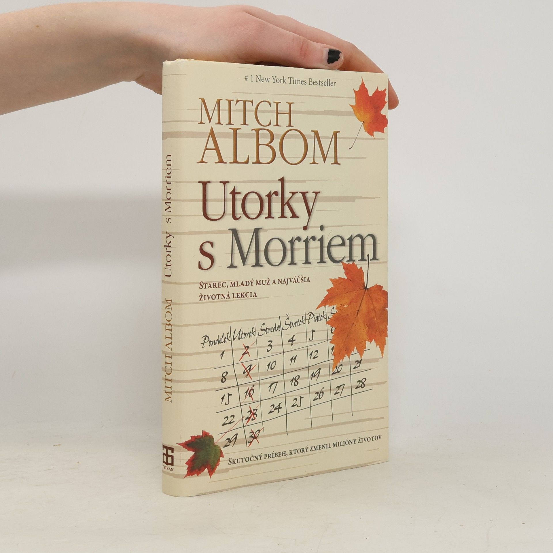 Mitch Albom Utorky s Morriem