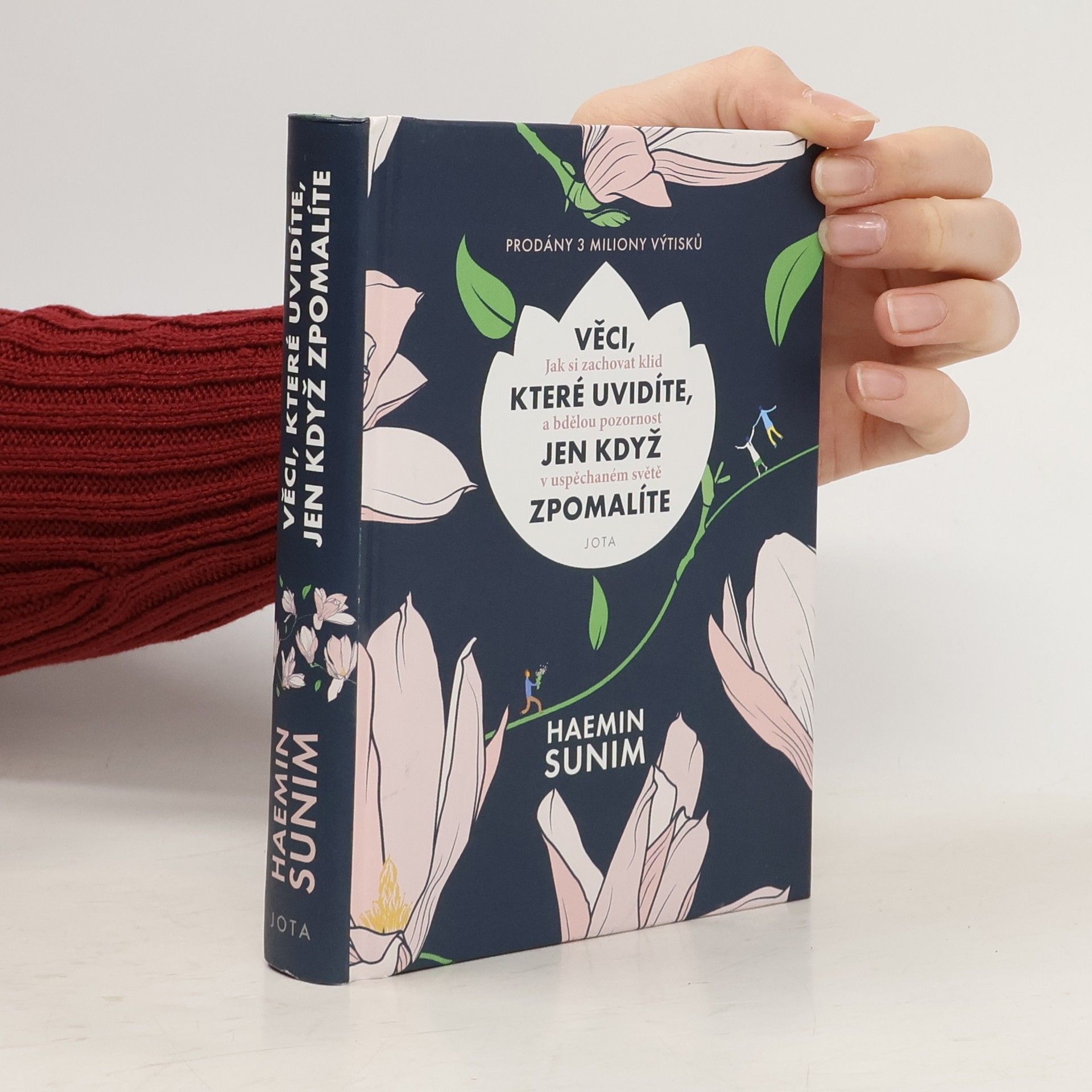 Sunim Haemin Věci, které uvidíte, jen když zpomalíte