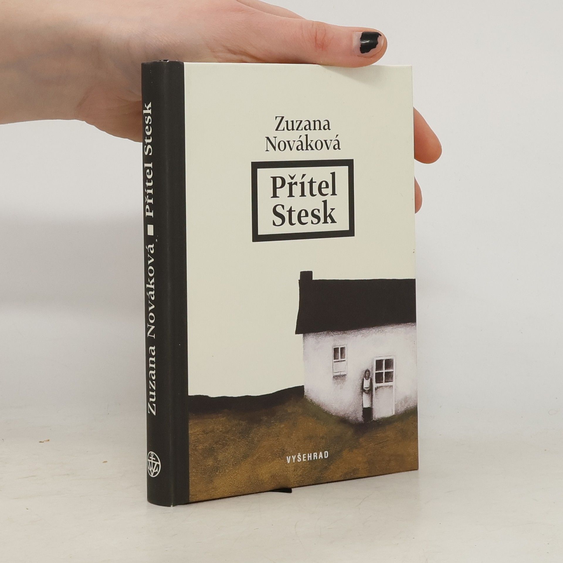 Zuzana Nováková Přítel Stesk