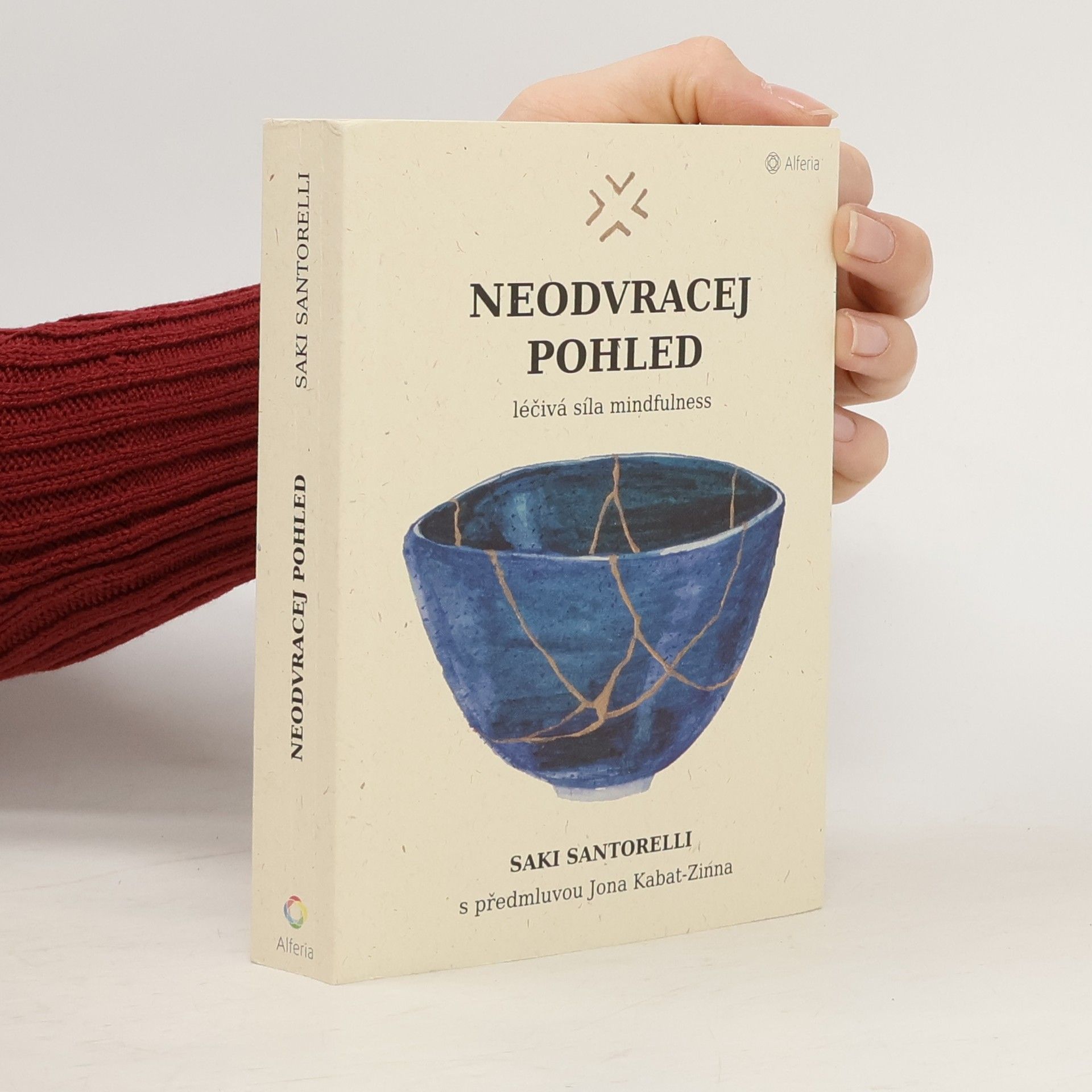 Saki Santorelli Neodvracej pohled : léčivá síla mindfulness