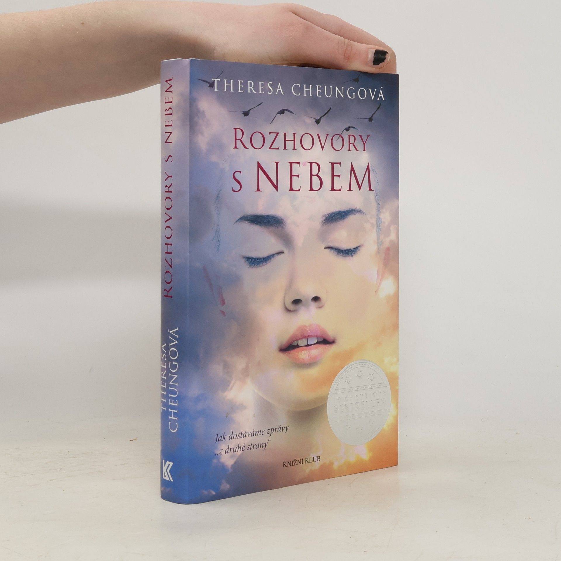 Theresa Francis-Cheung Rozhovory s nebem