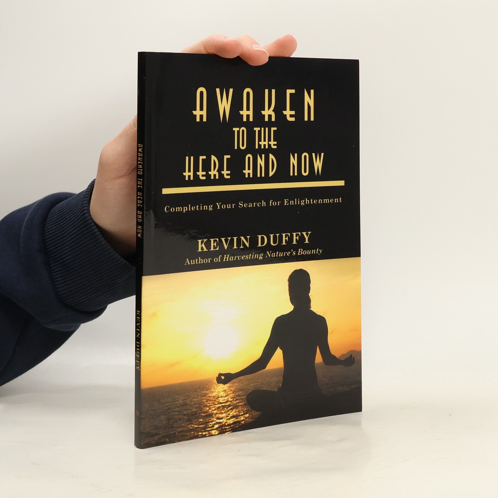 Kevin F. Duffy Awaken to the Here and Now