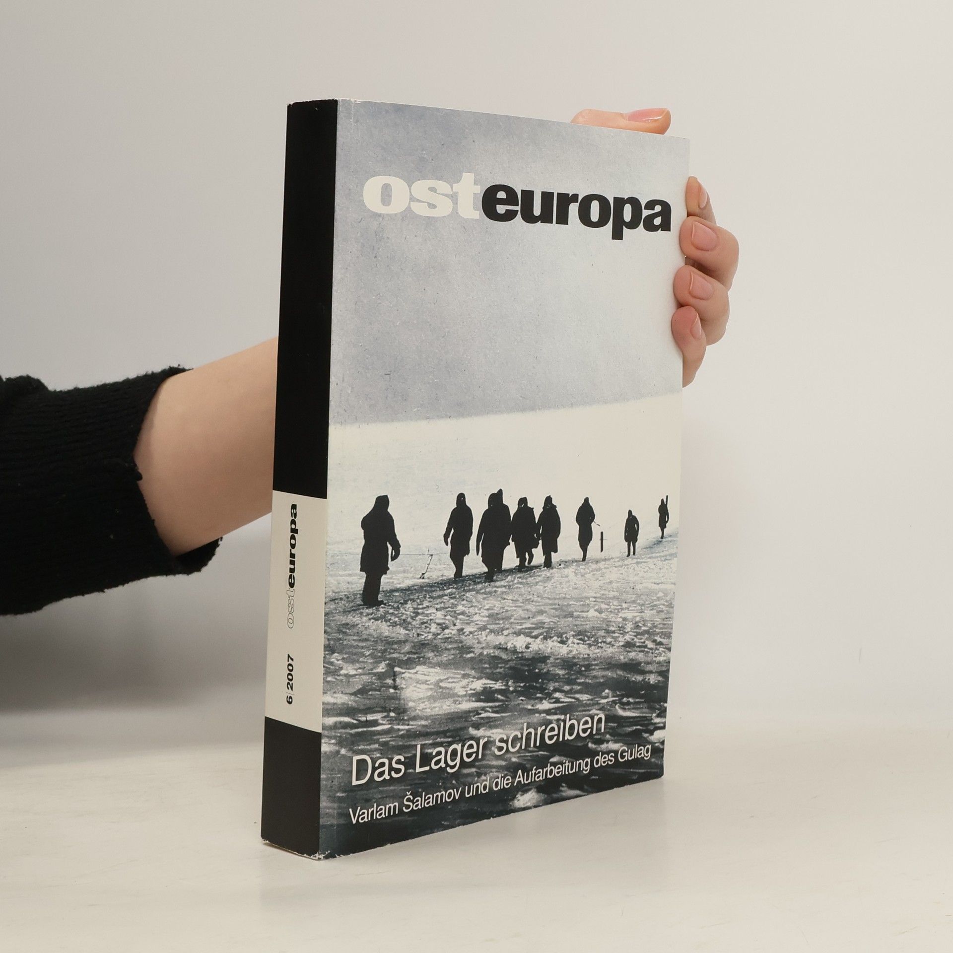 Collectif d'auteurs Das Lager schreiben