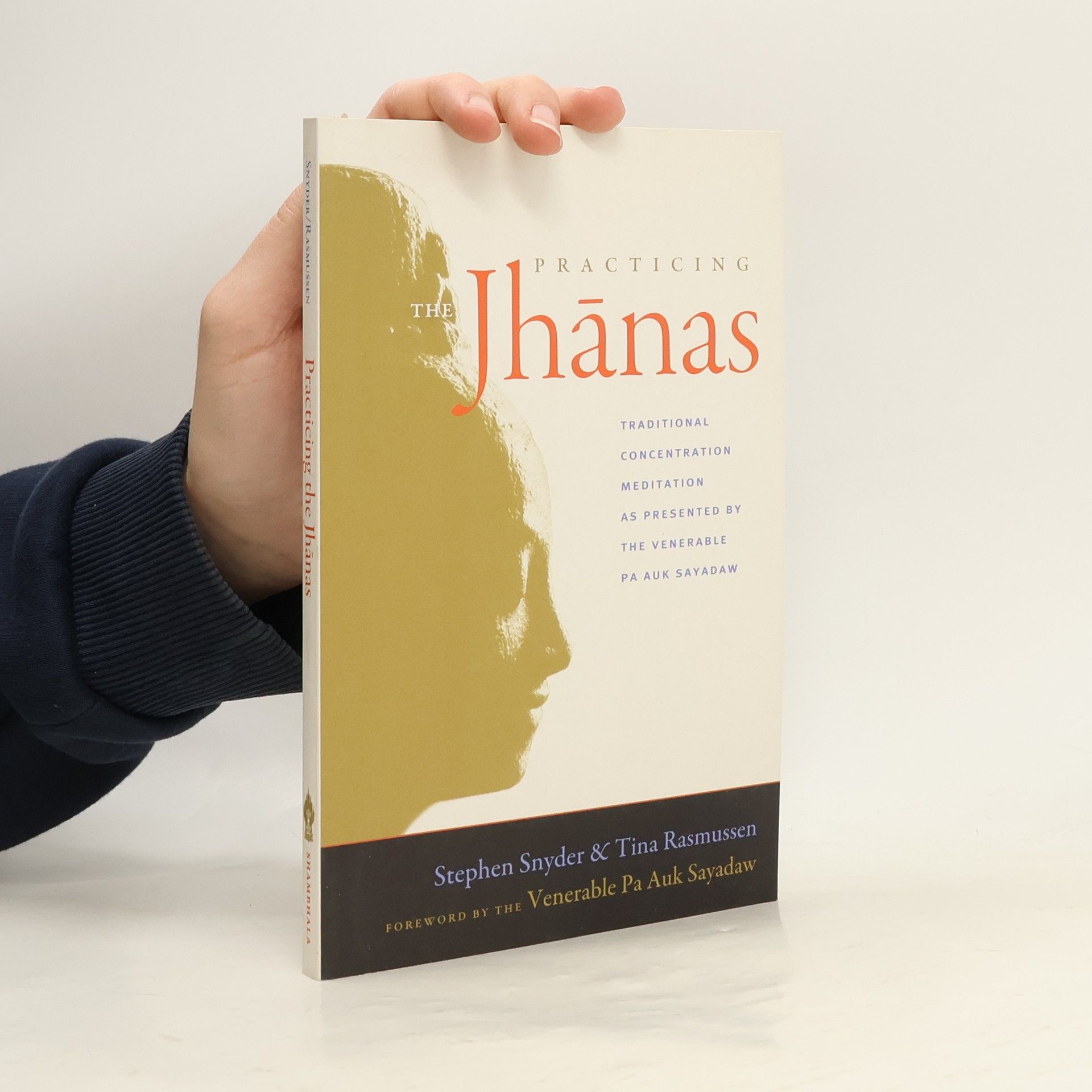 Stephen Snyder Practicing The Jhanas