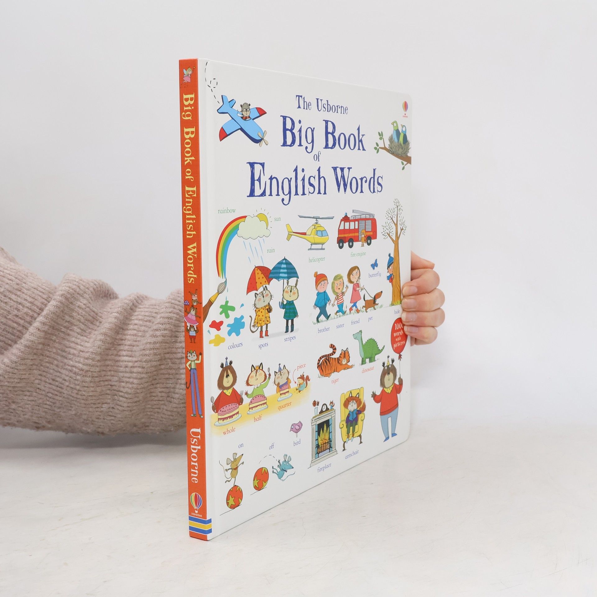 Mairi Mackinnon The Usborne Big Book of English Words