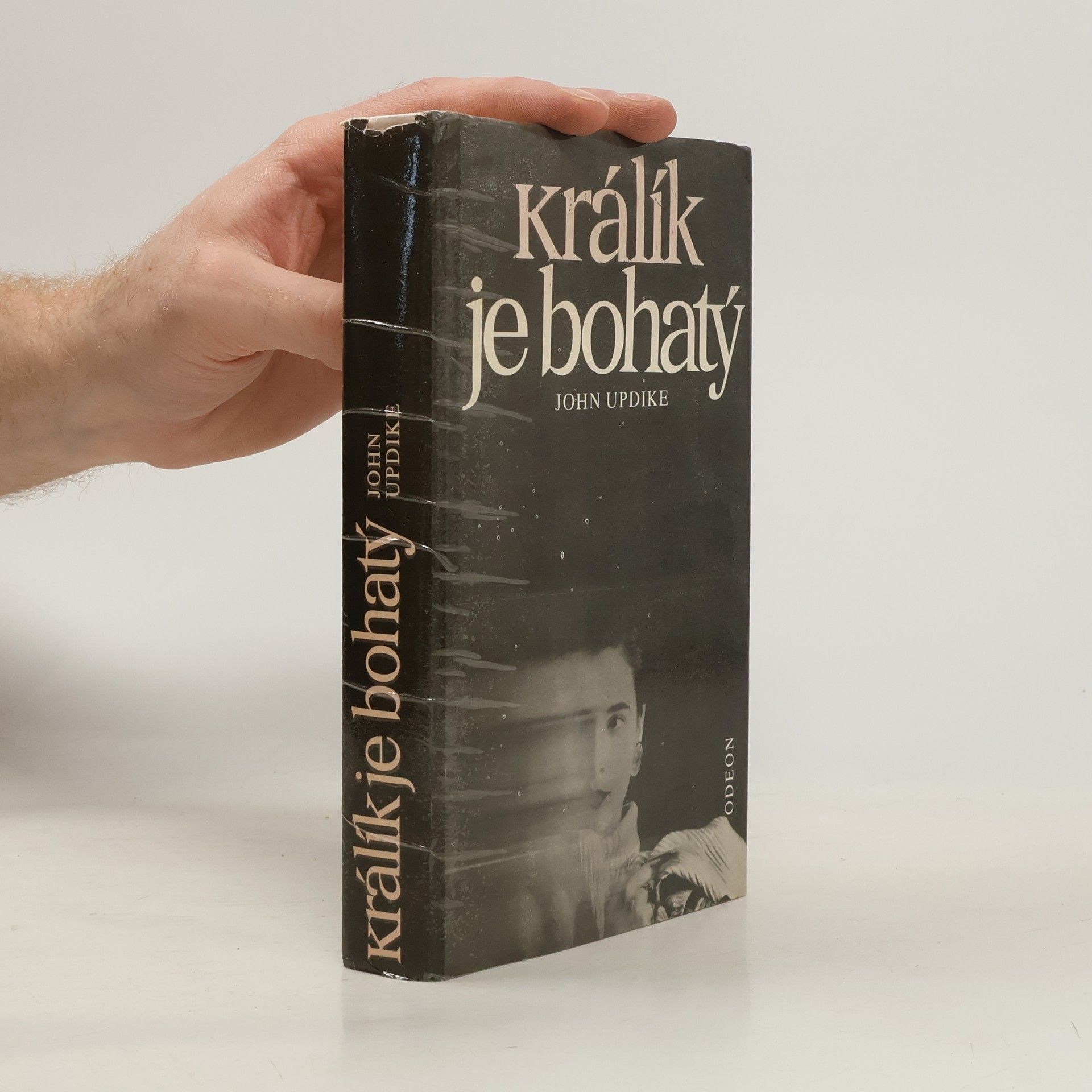 John Updike Králík je bohatý