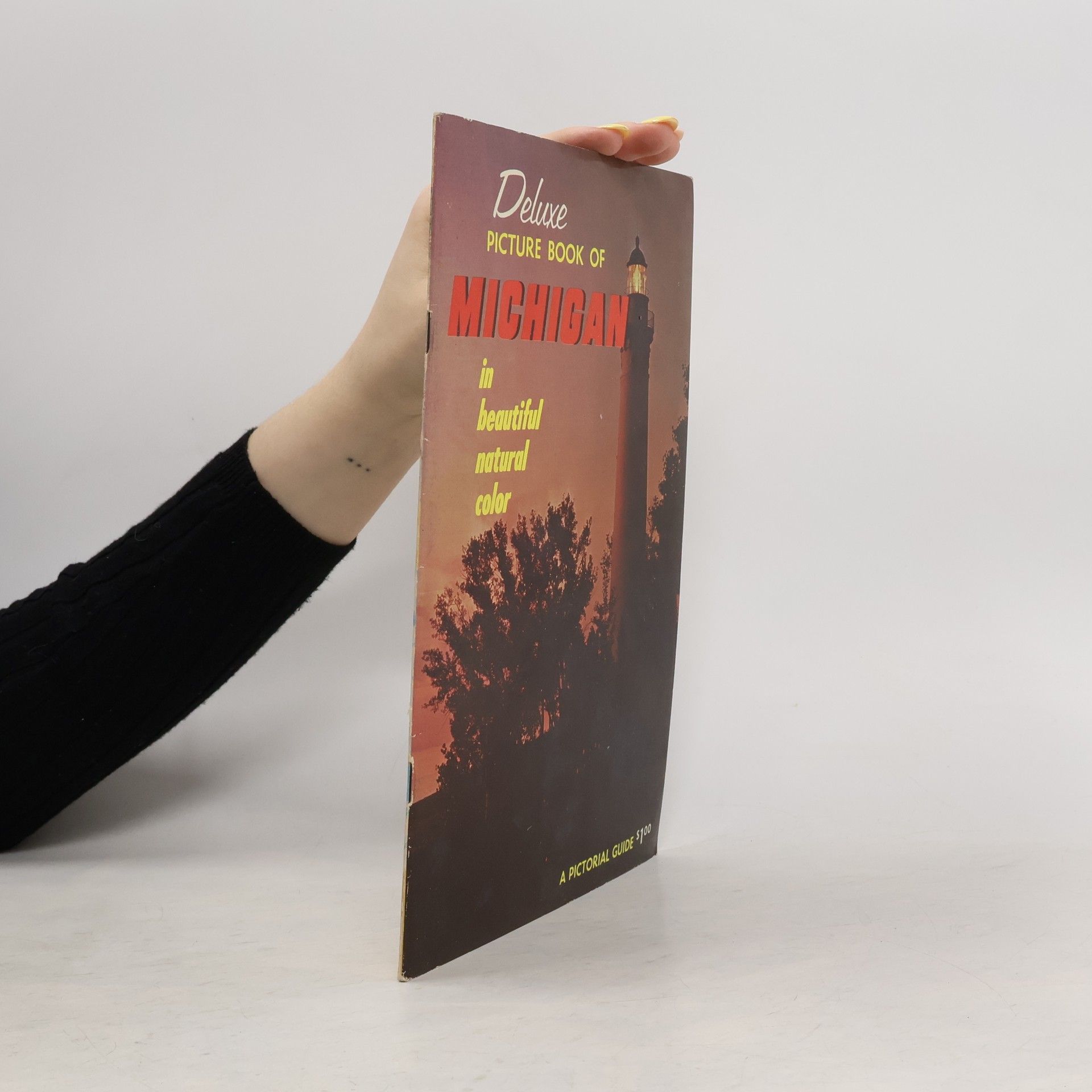 Auteurscollectief Deluxe Picture Book of Michigan in Beautiful Natural Color