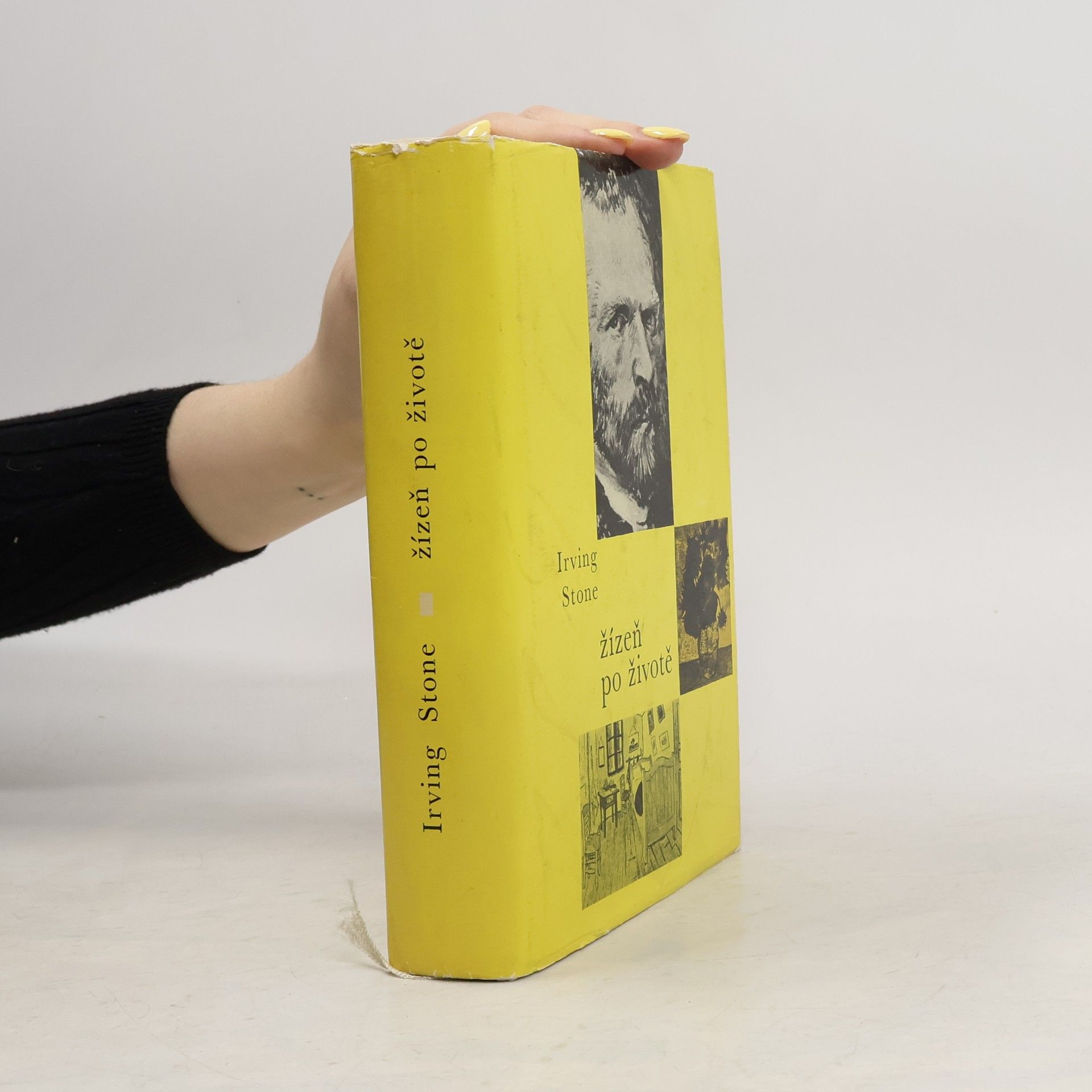 Irving Stone Žízeň po životě